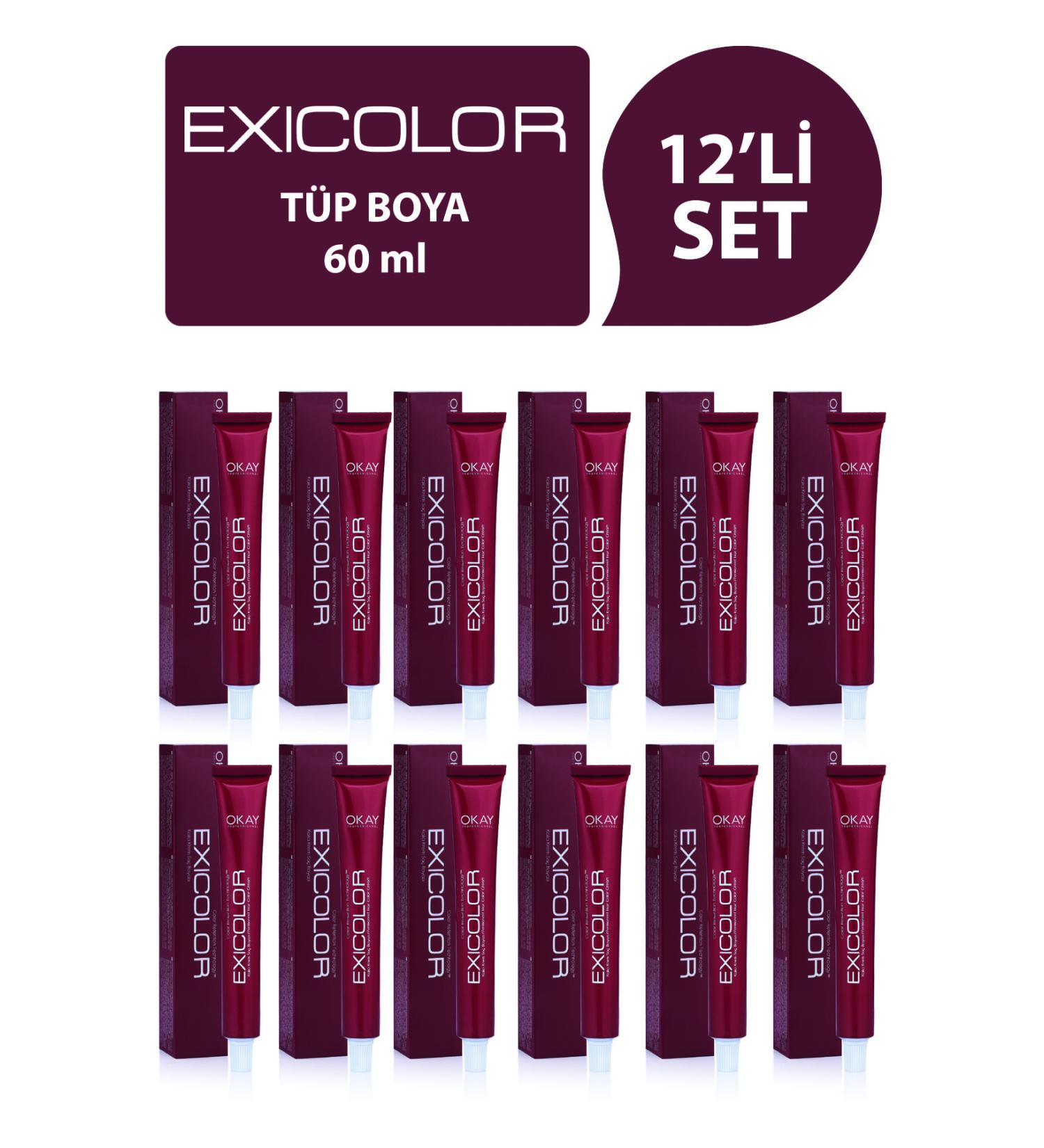Exicolor 8.1 Ash Light Blonde Hair Dye 60ml (Set of 12)