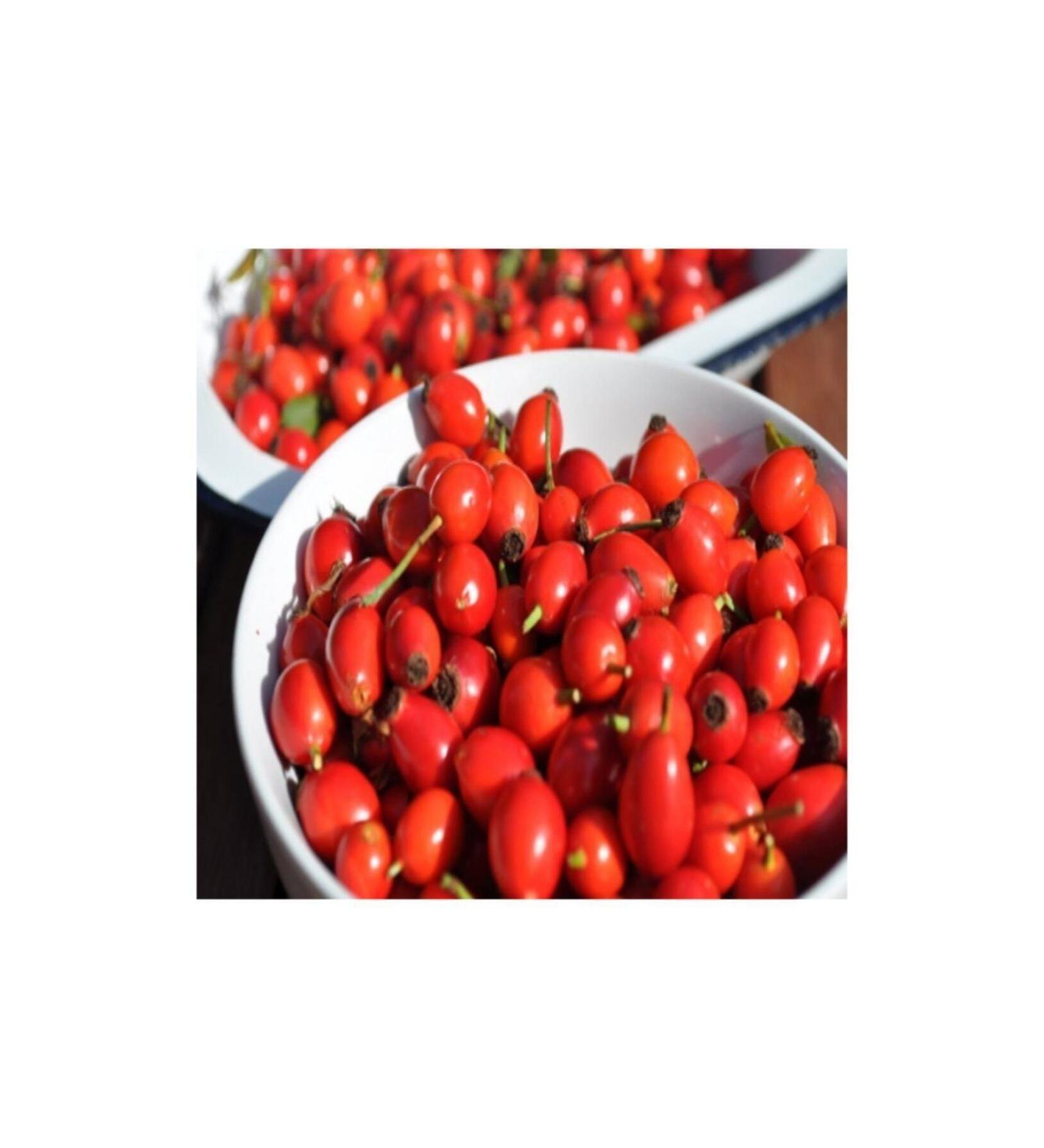 Erzurum local food - Rosehip Dried 1 Kg