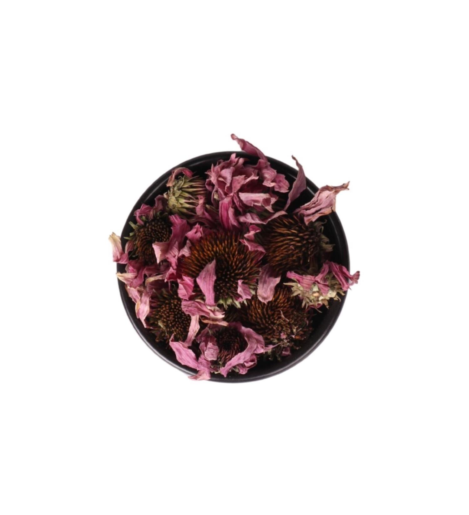 Ancient Echinacea Plant 500 Gr