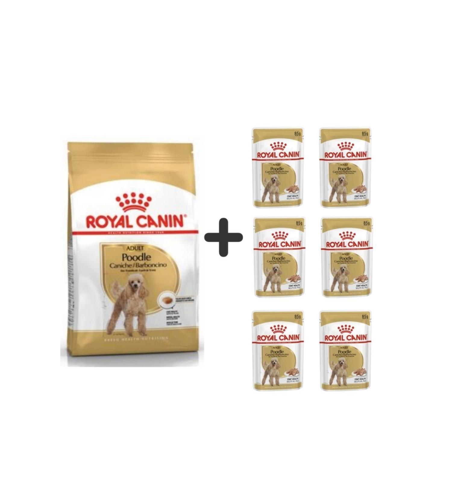 Royal Canin Poodle Adult Dog Food 3 Kg + 6 Pieces Wet Food