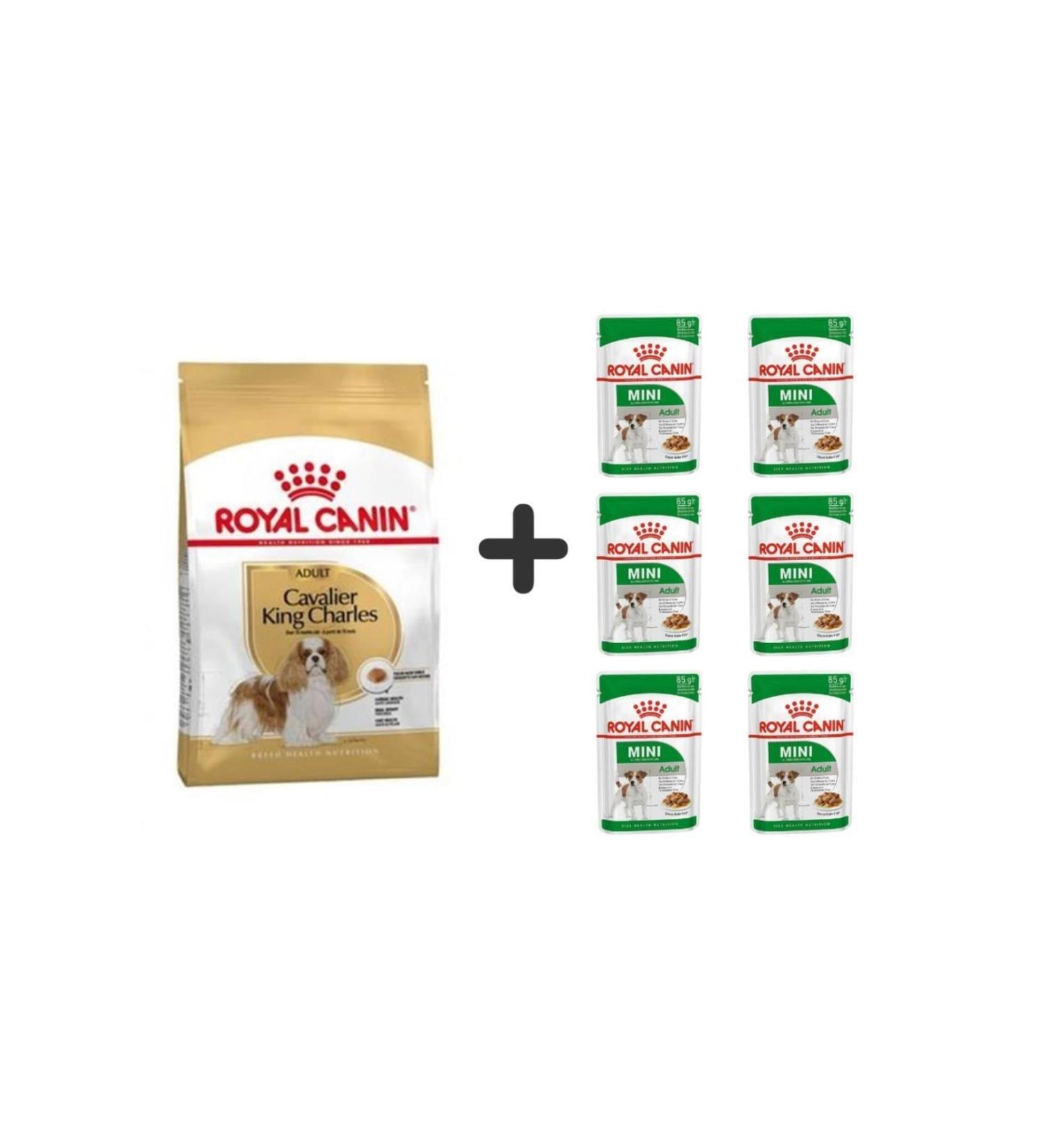 Royal Canin Cavalier King Charles Adult Dog Food 1.5 Kg + 6 Pieces Wet Food