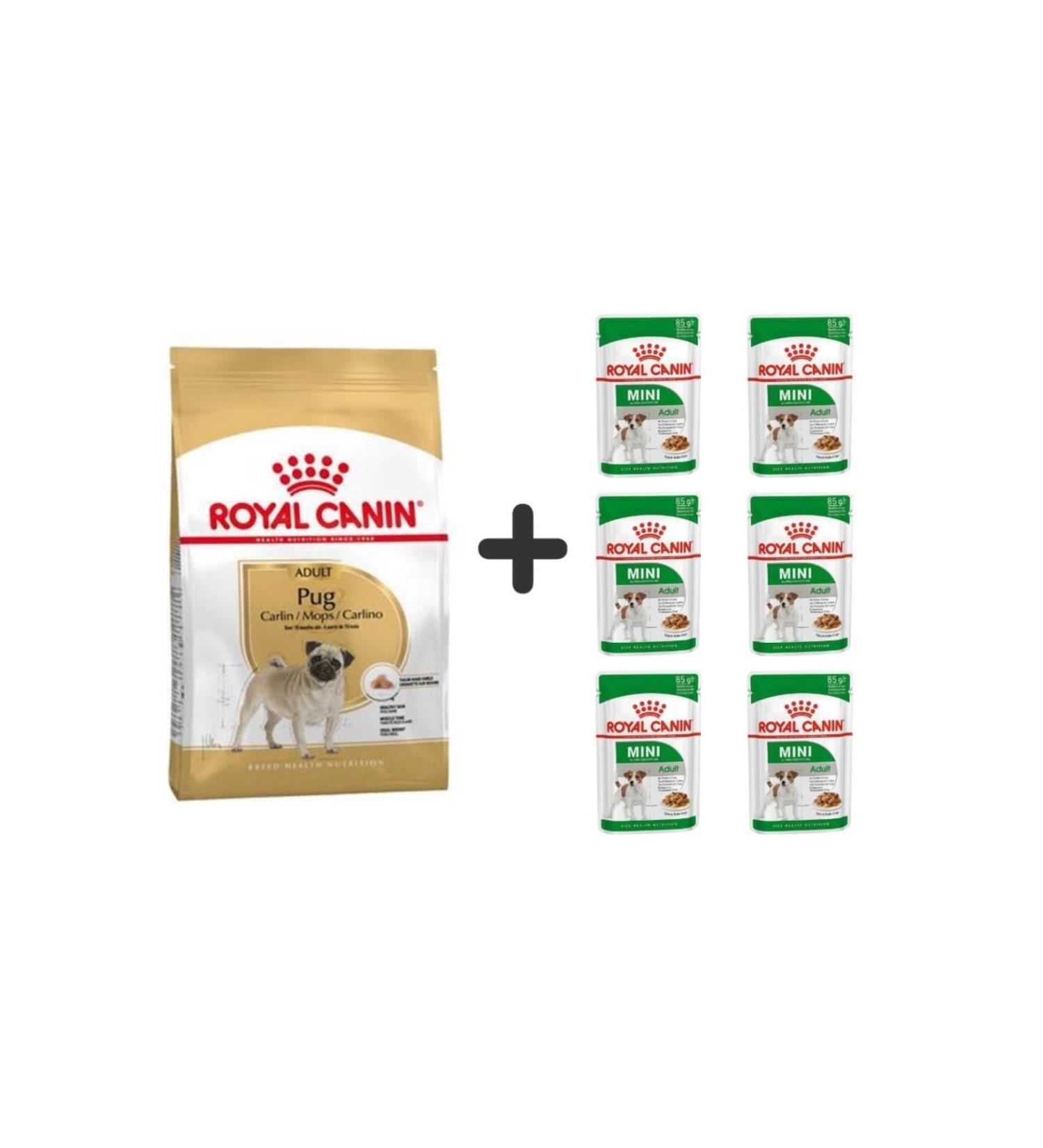 Royal Canin Pug Breed Special Dog Food 1.5 Kg + 6 Pieces Wet Food