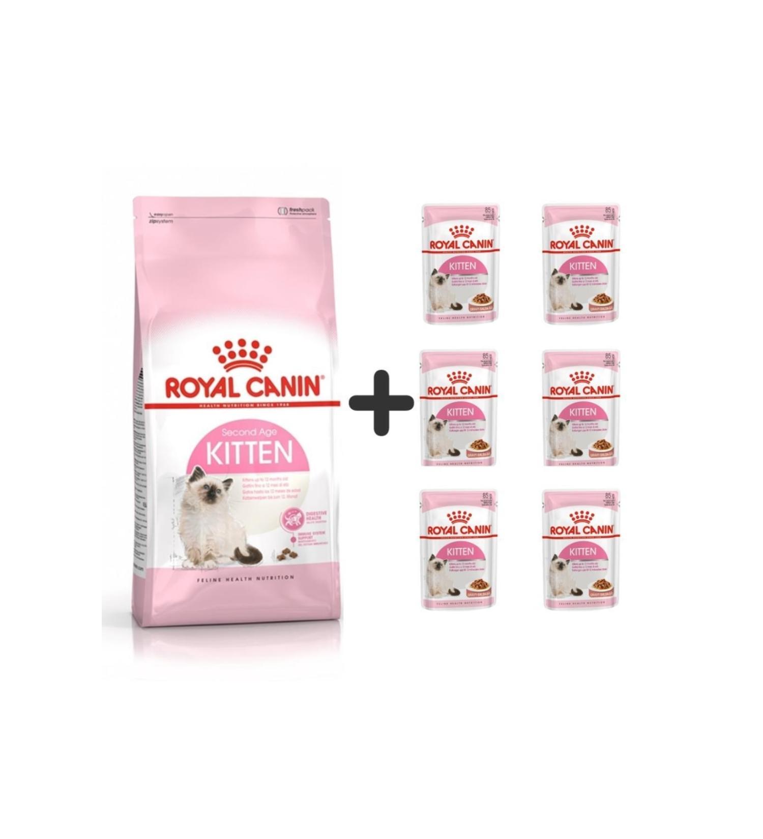 Royal Canin Kitten Dry Cat Food 4 Kg + 6 Pieces Wet Food