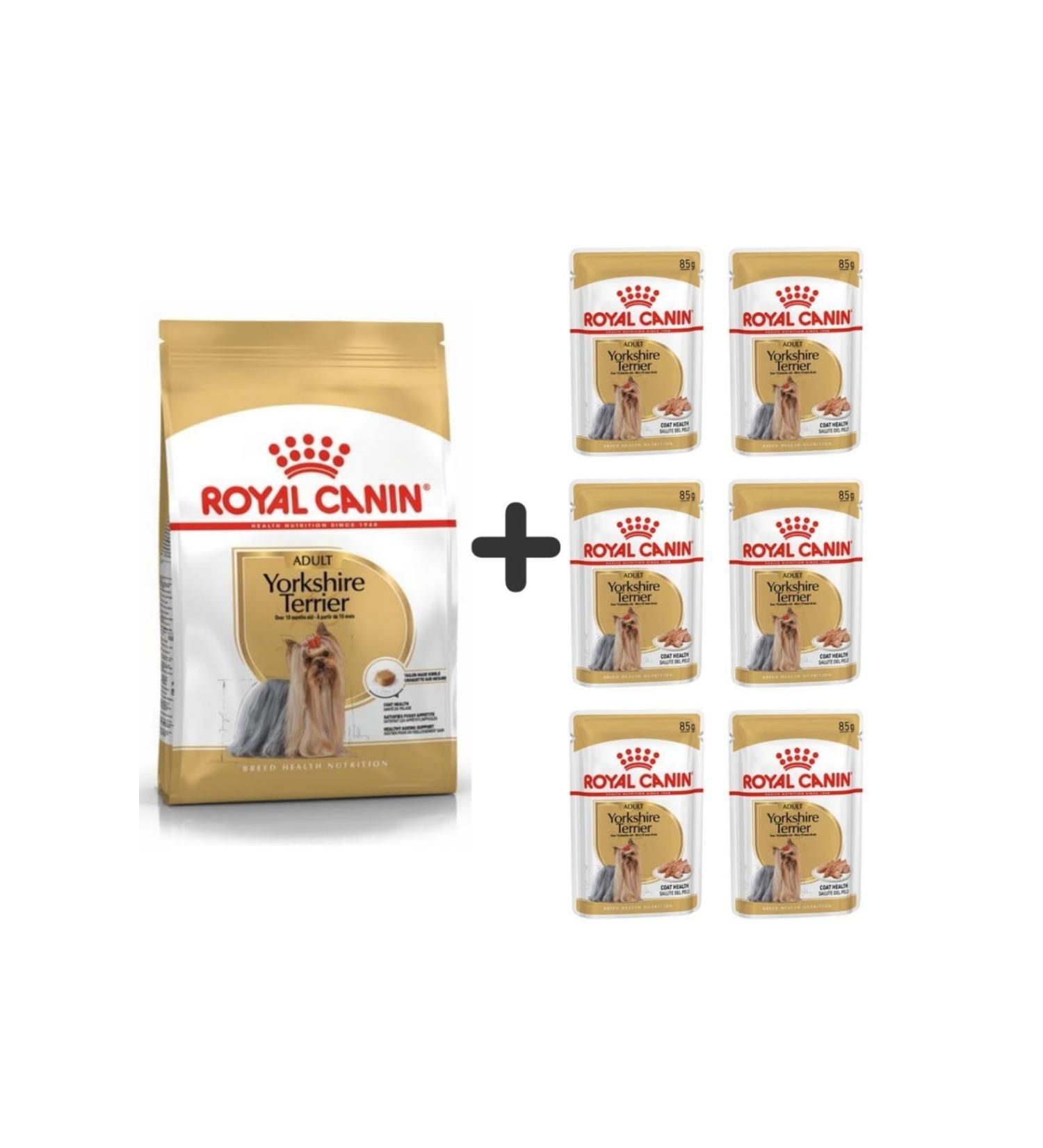 Royal Canin Yorkshire Terrier Dog Food 1.5 Kg + 6 Pieces Wet Food