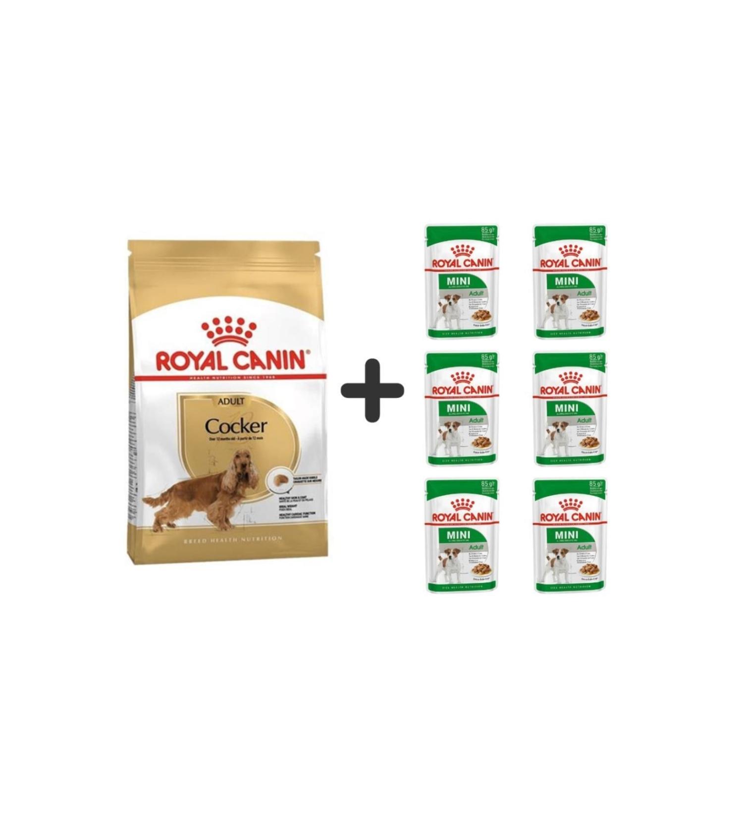 Royal Canin Cocker Adult Dog Food 3 Kg + 6 Pieces Wet Food
