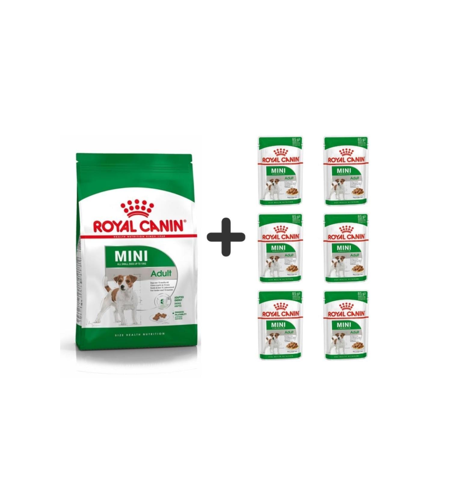 Royal Canin Mini Adult Dog Food 4 Kg + 6 Pieces Wet Food