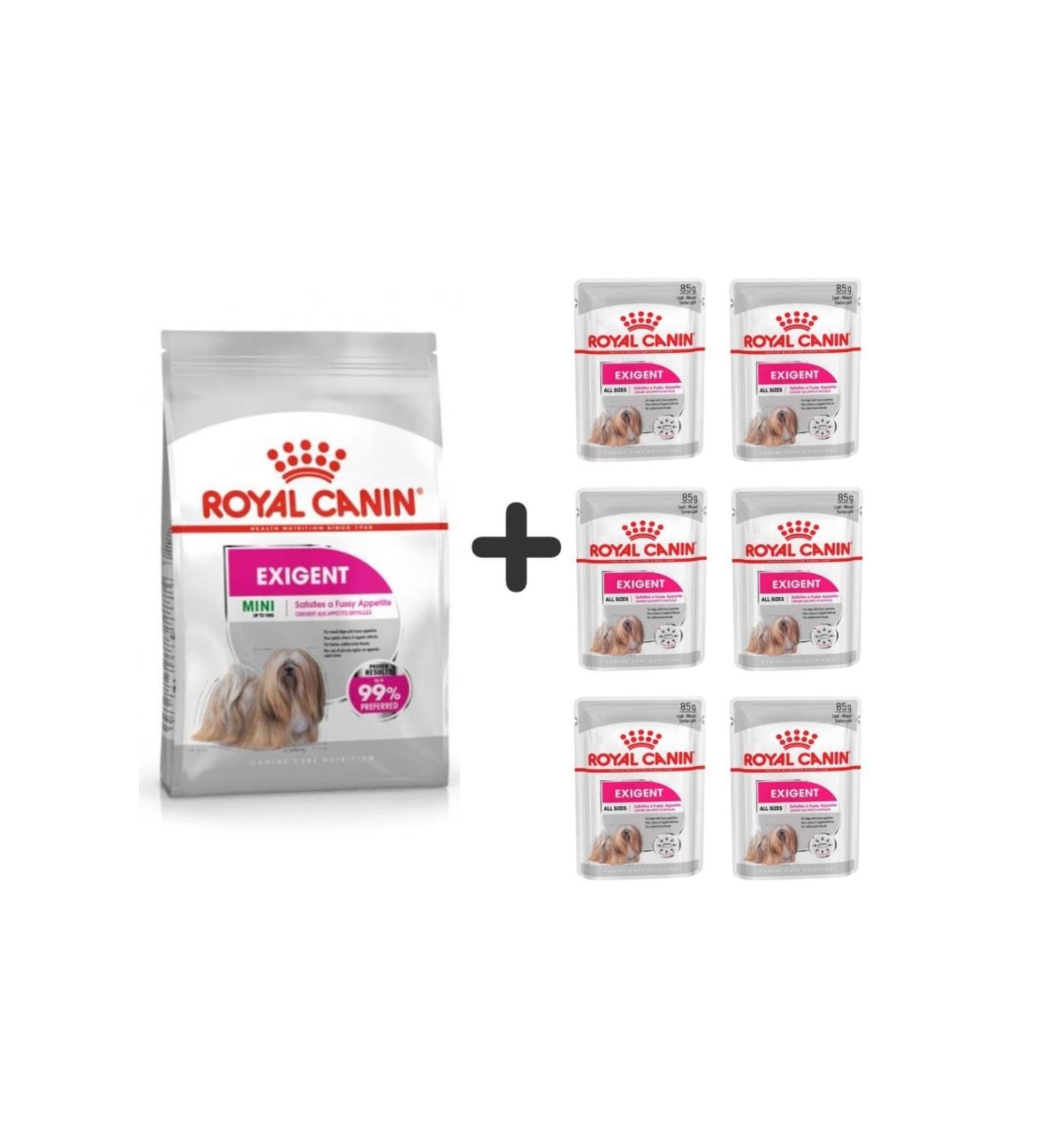 Royal Canin Mini Exigent Dog Food 3 Kg + 6 Pieces Wet Food
