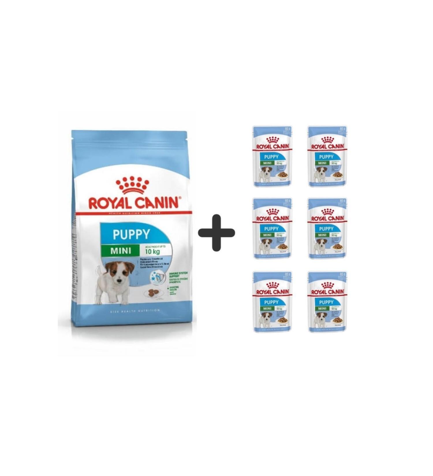 Royal Canin Mini Puppy Puppy Food 4 Kg + 6 Pieces Wet Food