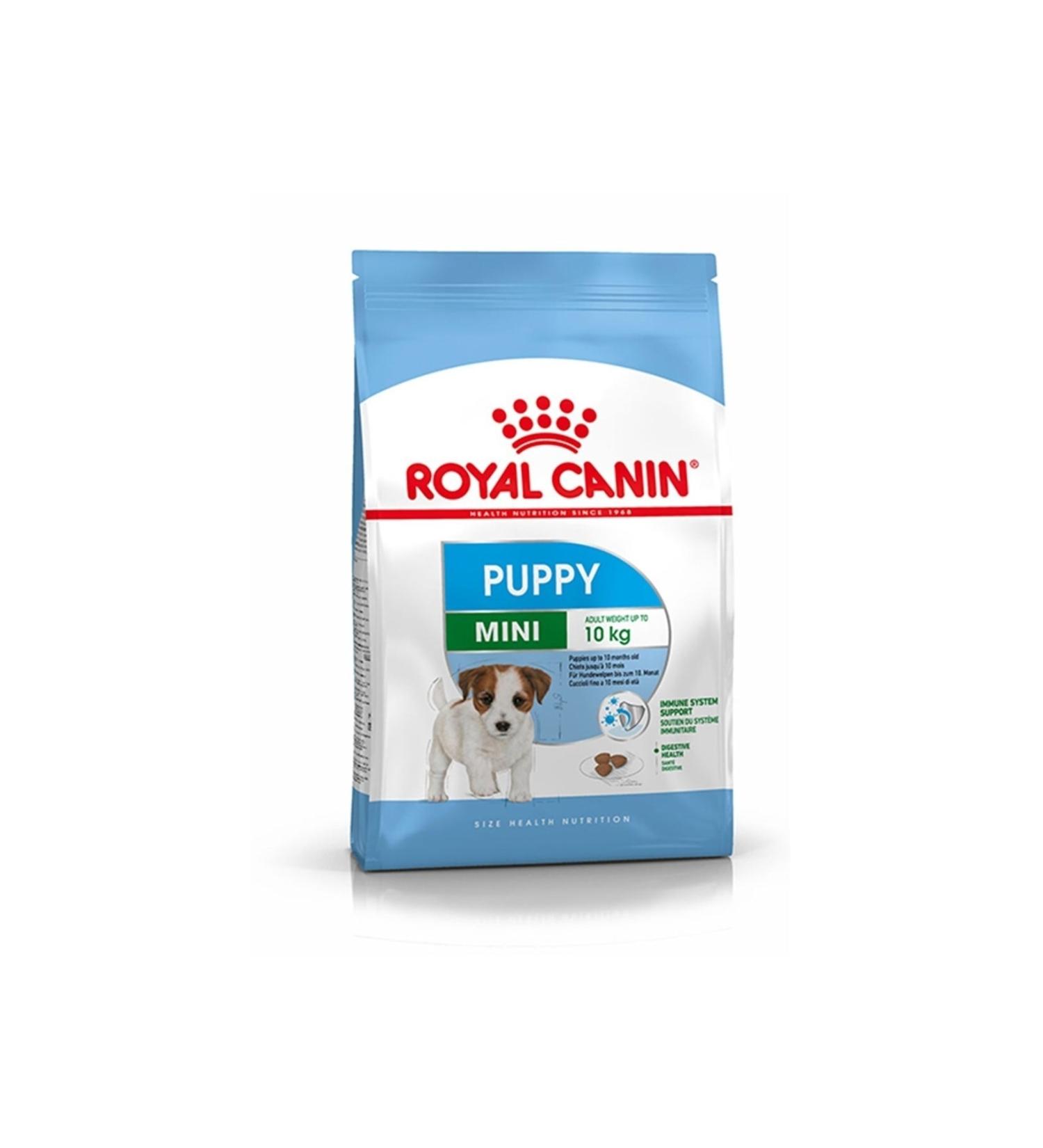 Royal Canin Mini Puppy Junior 2 Kg.