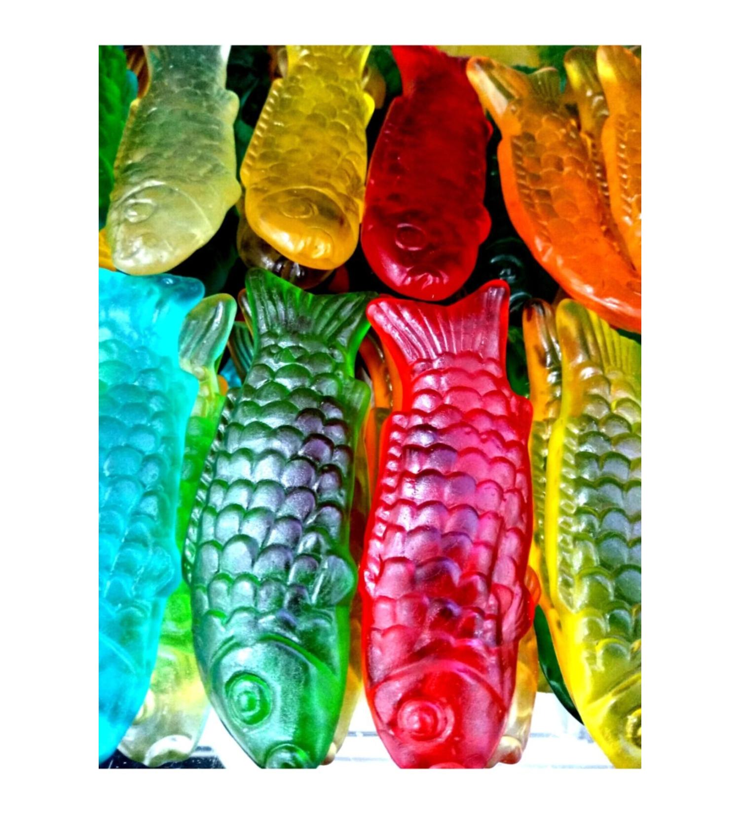 Haribo Giant Fish 1 Kg