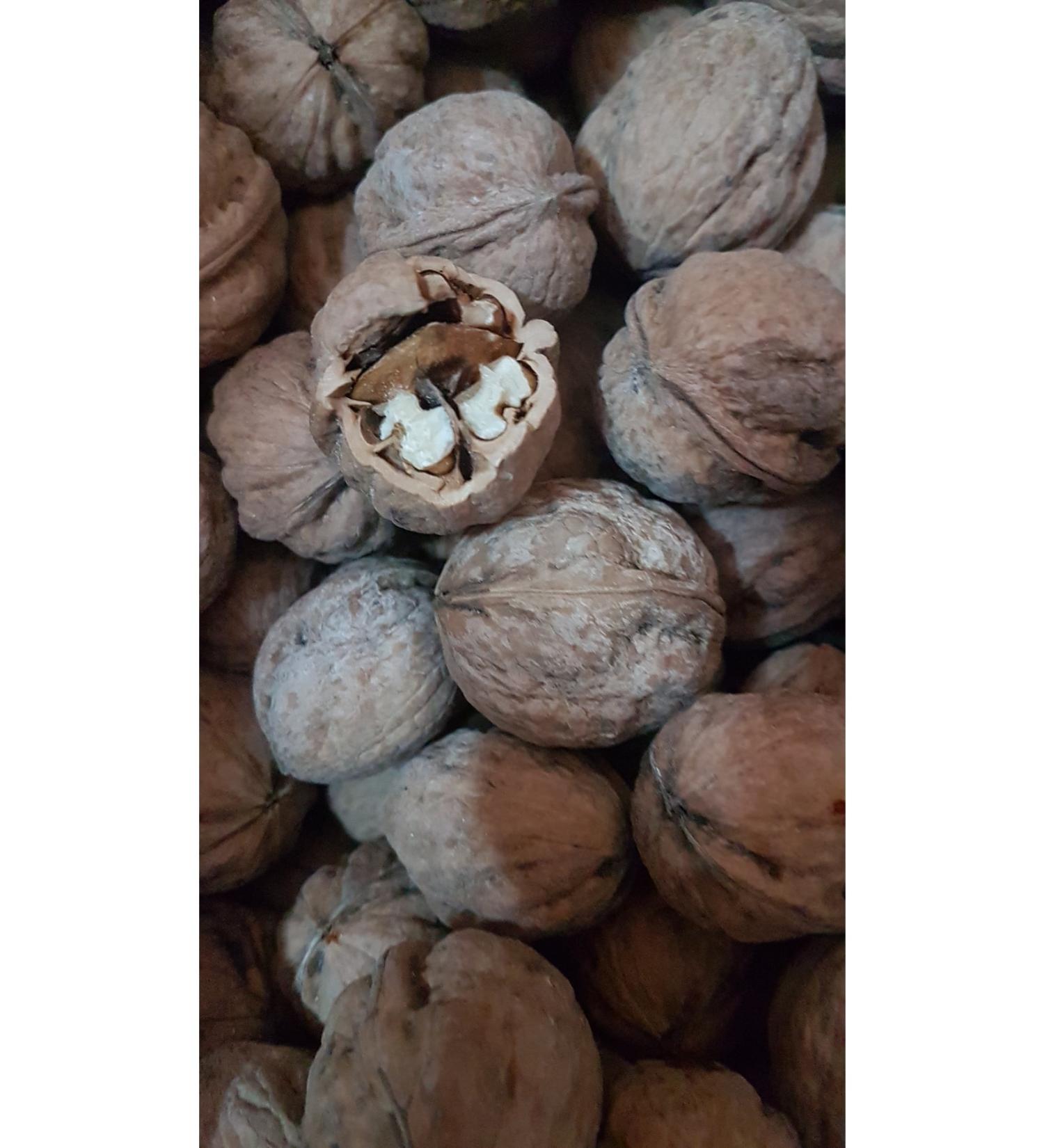 CANLAR Walnut 1 kg