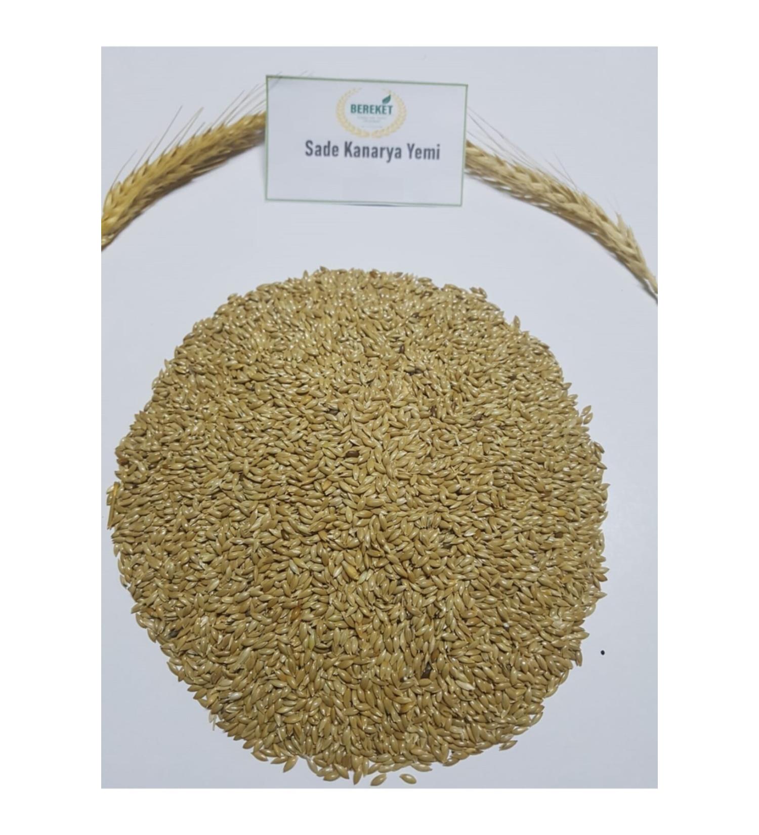 Bereketlimama Plain Safflower 5 kg - Buy Online on GoSupps.com