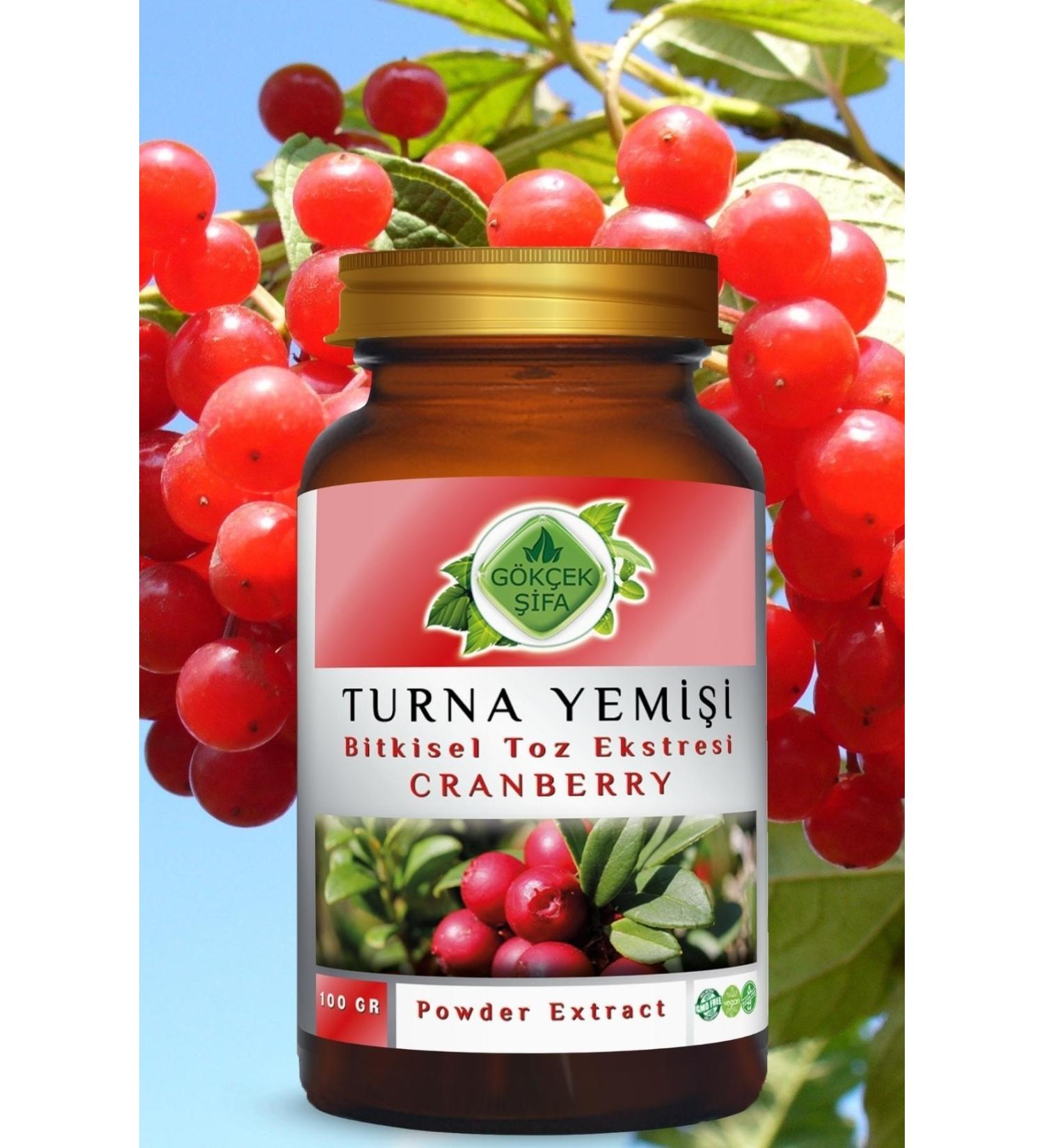 Gokcek Healing Cranberry Powder Extract 100 Gr. Glass Jar - Buy Online on GoSupps.com