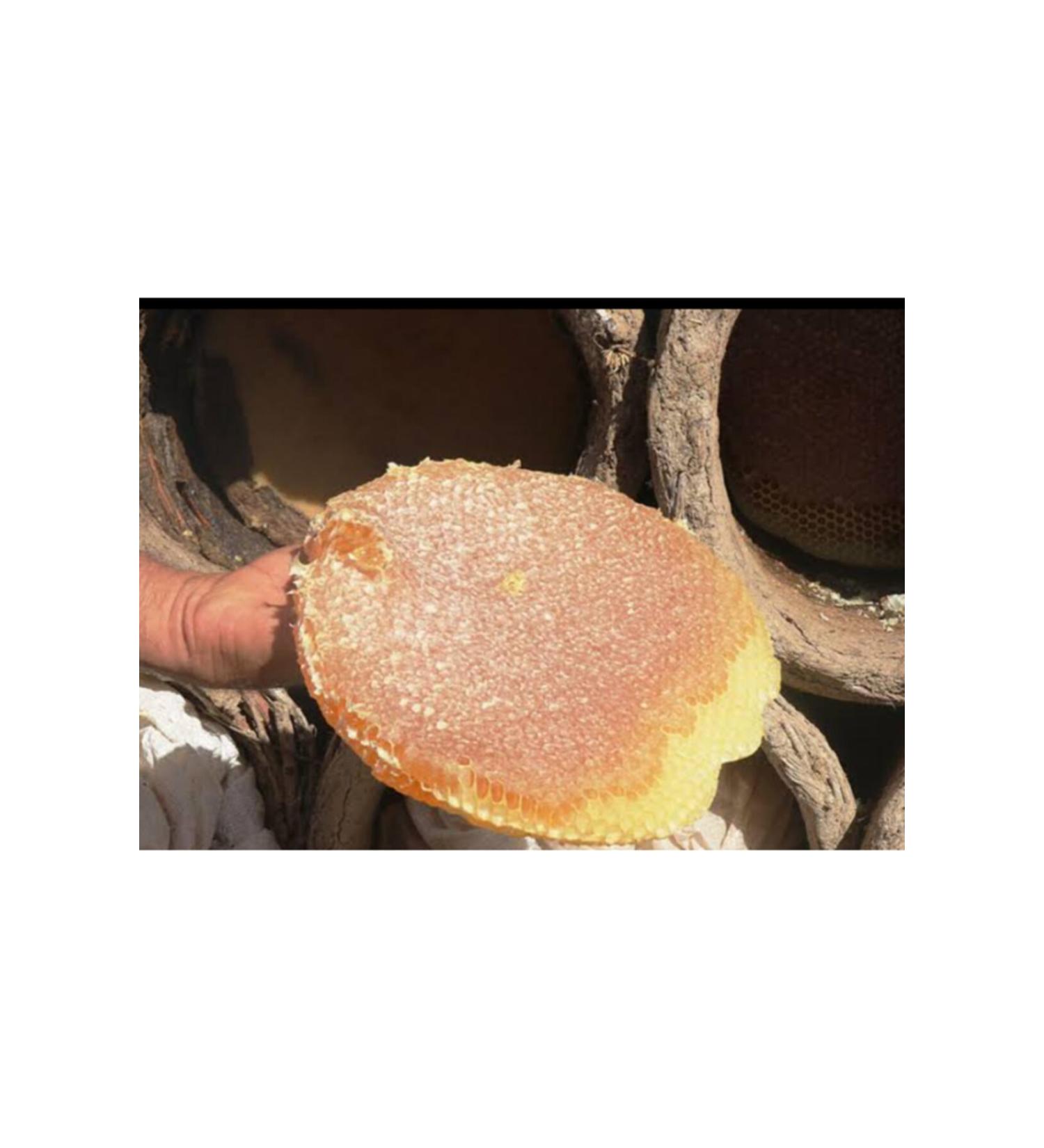 OZMU HONEY From Sivas 500gr Black Hive for Trial