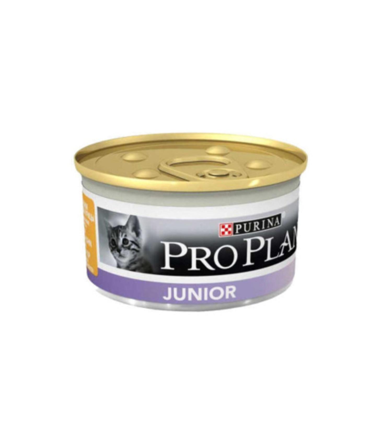 Purina Chicken Junior Canned Cat Food 85 gr 6 Pieces