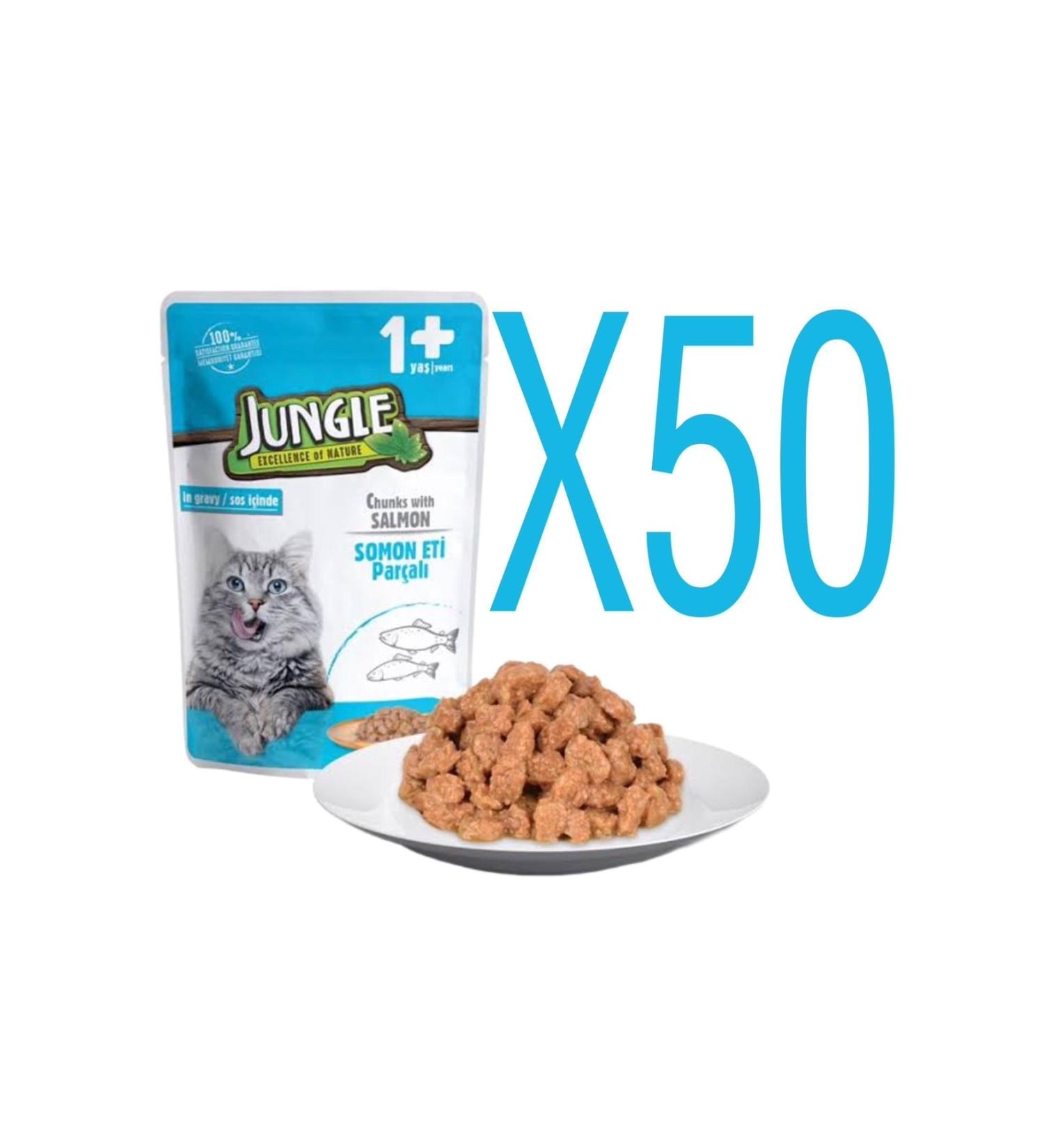 Blue Cactus Jungle Salmon Meat Piece Pouch Food X50 Pieces