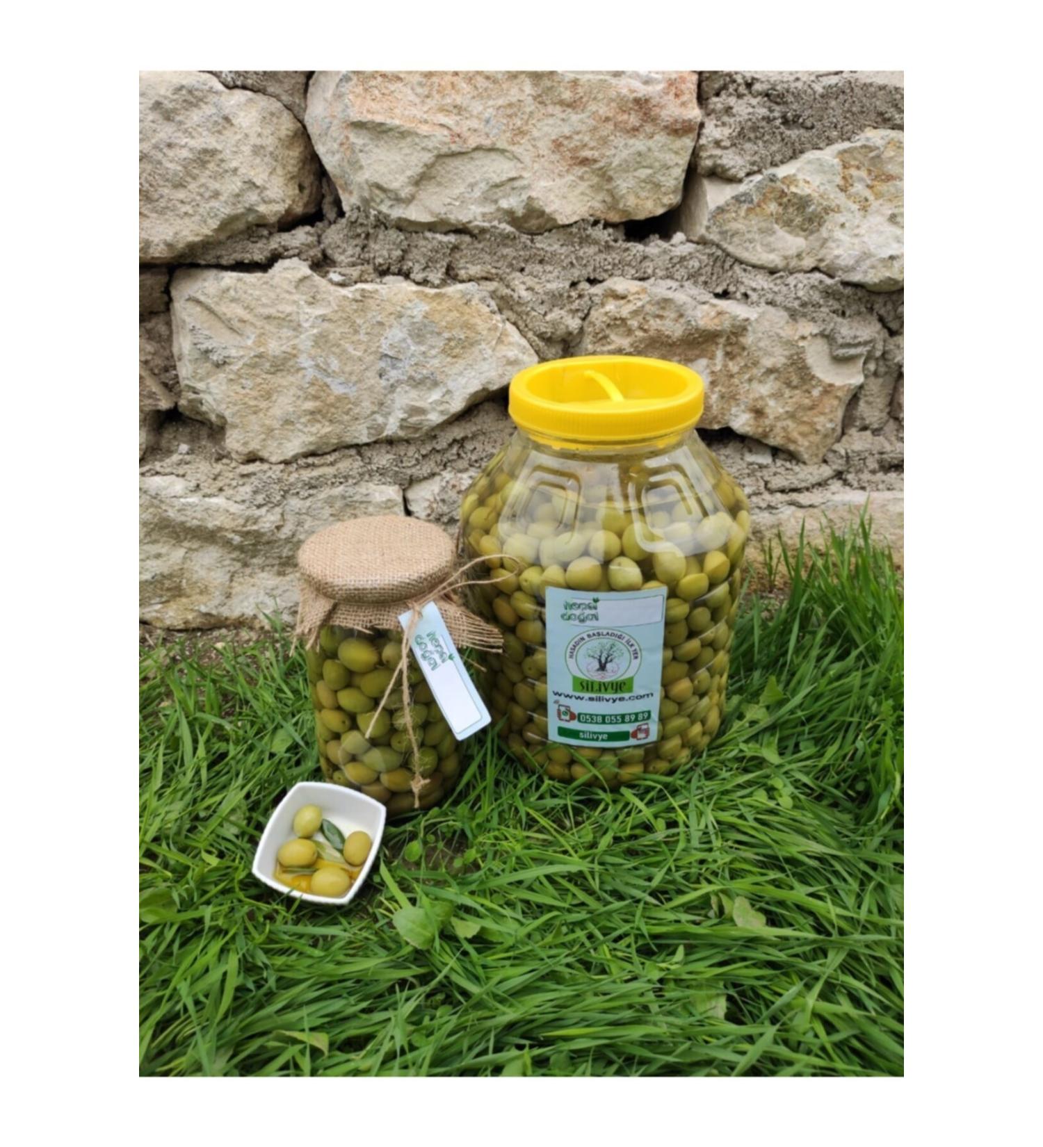 Silivye Organic Breakfast Green Olives