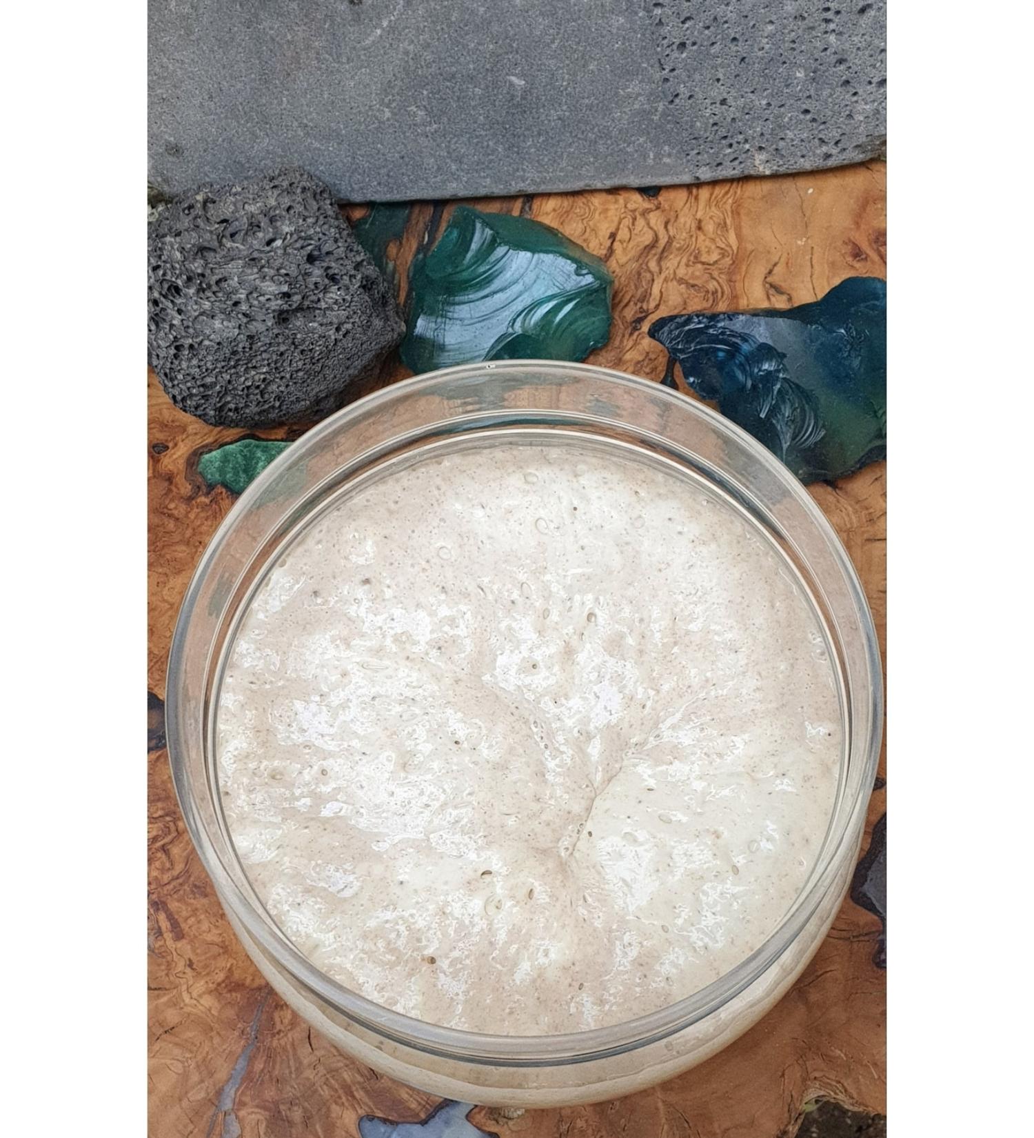 nazillidenorganic Sourdough 150g