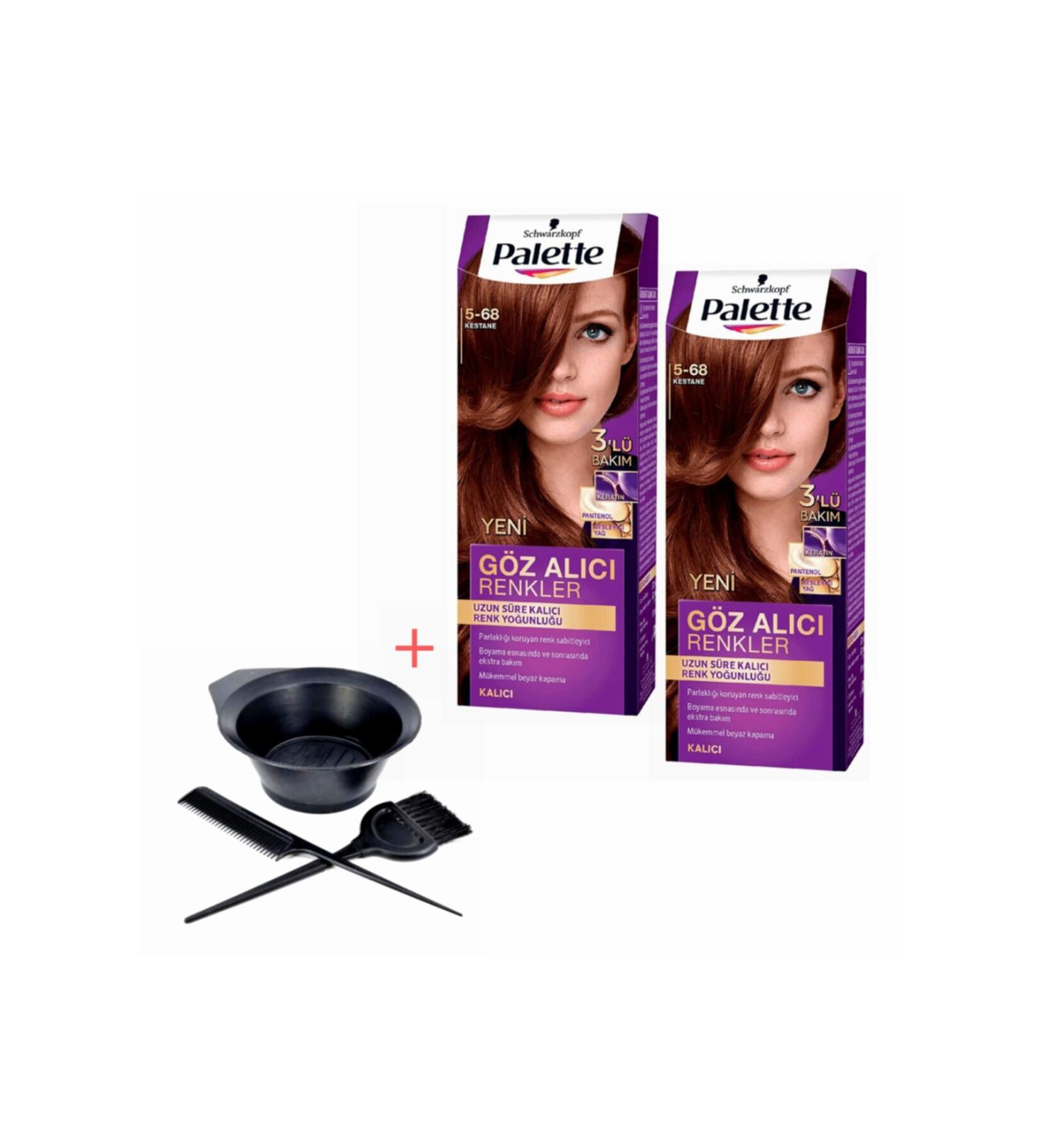 Eye-Catching Colors in Palette 5-68 Chestnut X 2 Pieces + Painting Set
