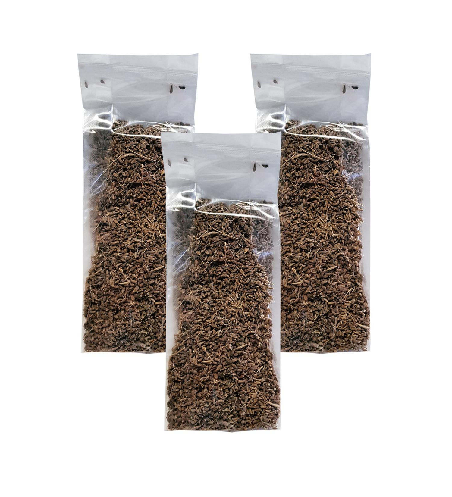 Ginger Organic Anise 3 Pack Anise Seed Dried Anise Plant Seed