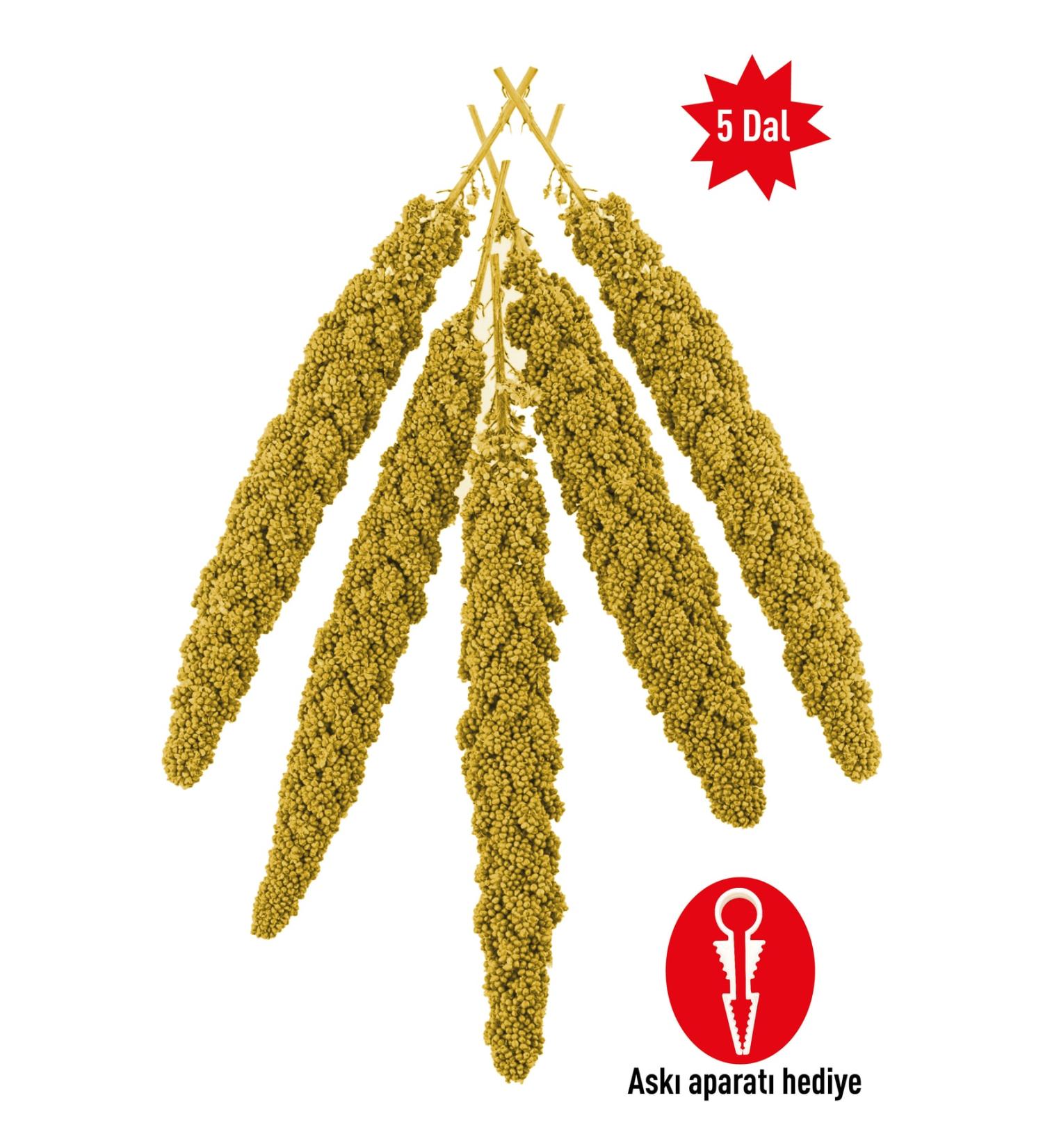 Vitafix Natural Millet - Millet for All Cage Birds - Bird Food - Suitable for Consumption of Young Birds