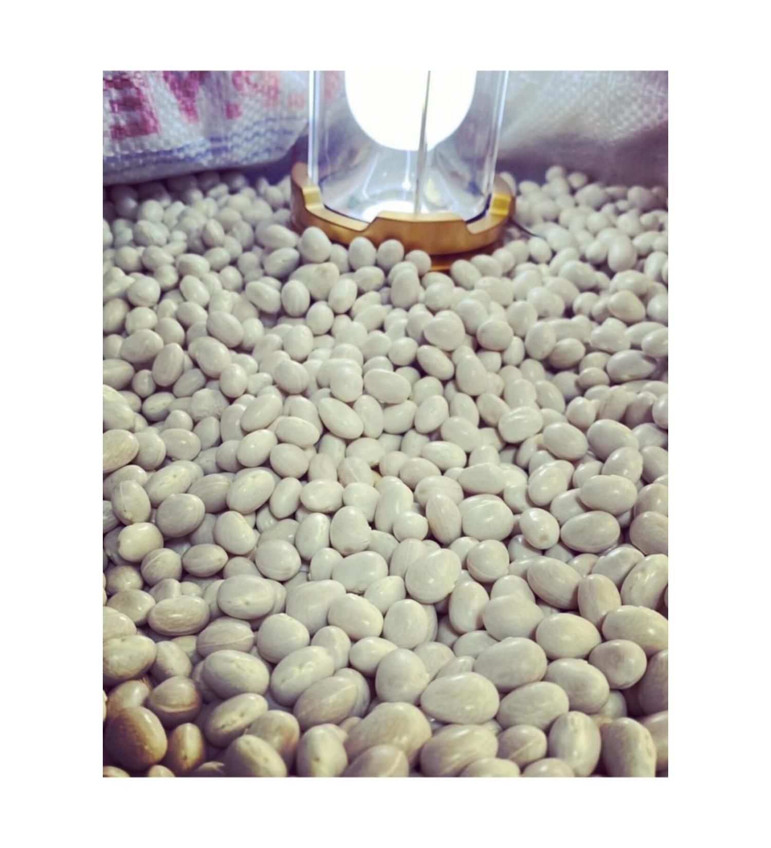 Ozgurmanav Sugar Beans