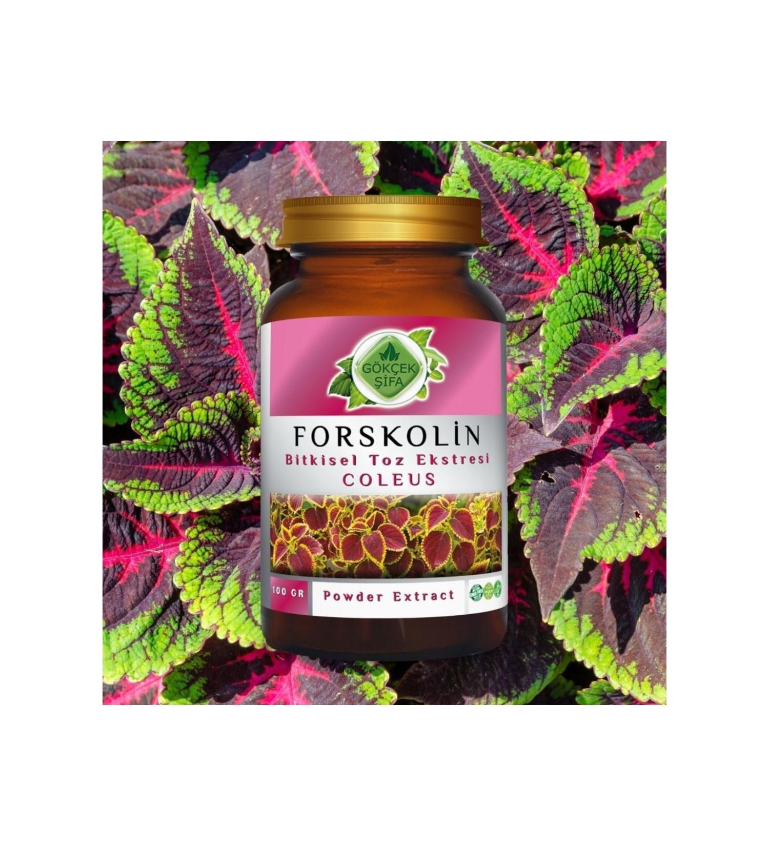 Gokcek Healing Forskolin Powder Extract 100 Gr. Glass Jar - Buy Online on GoSupps.com