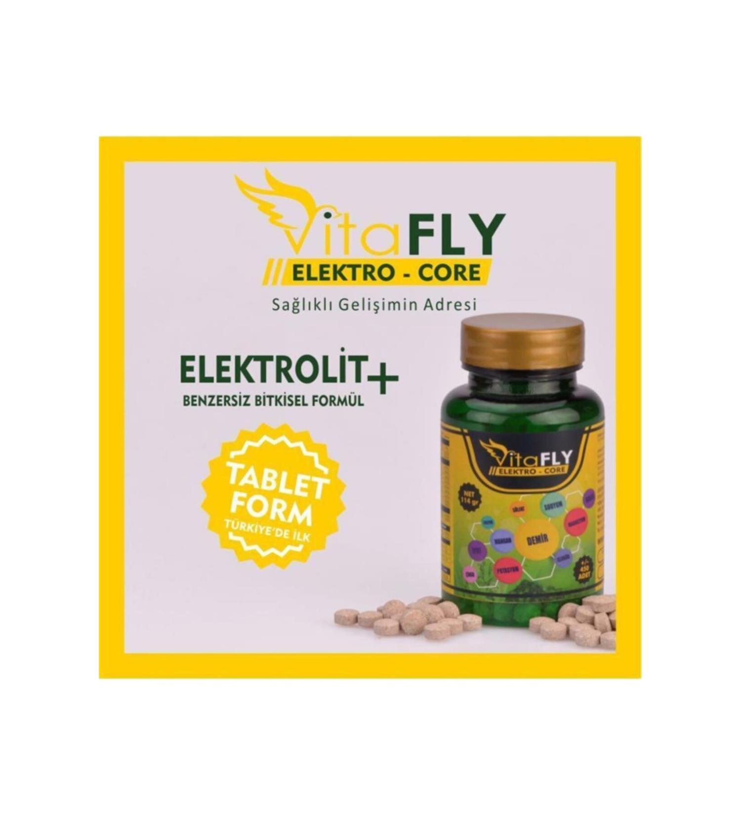 V TAFLY Elektro-core 485tablets Electrolyte Combination