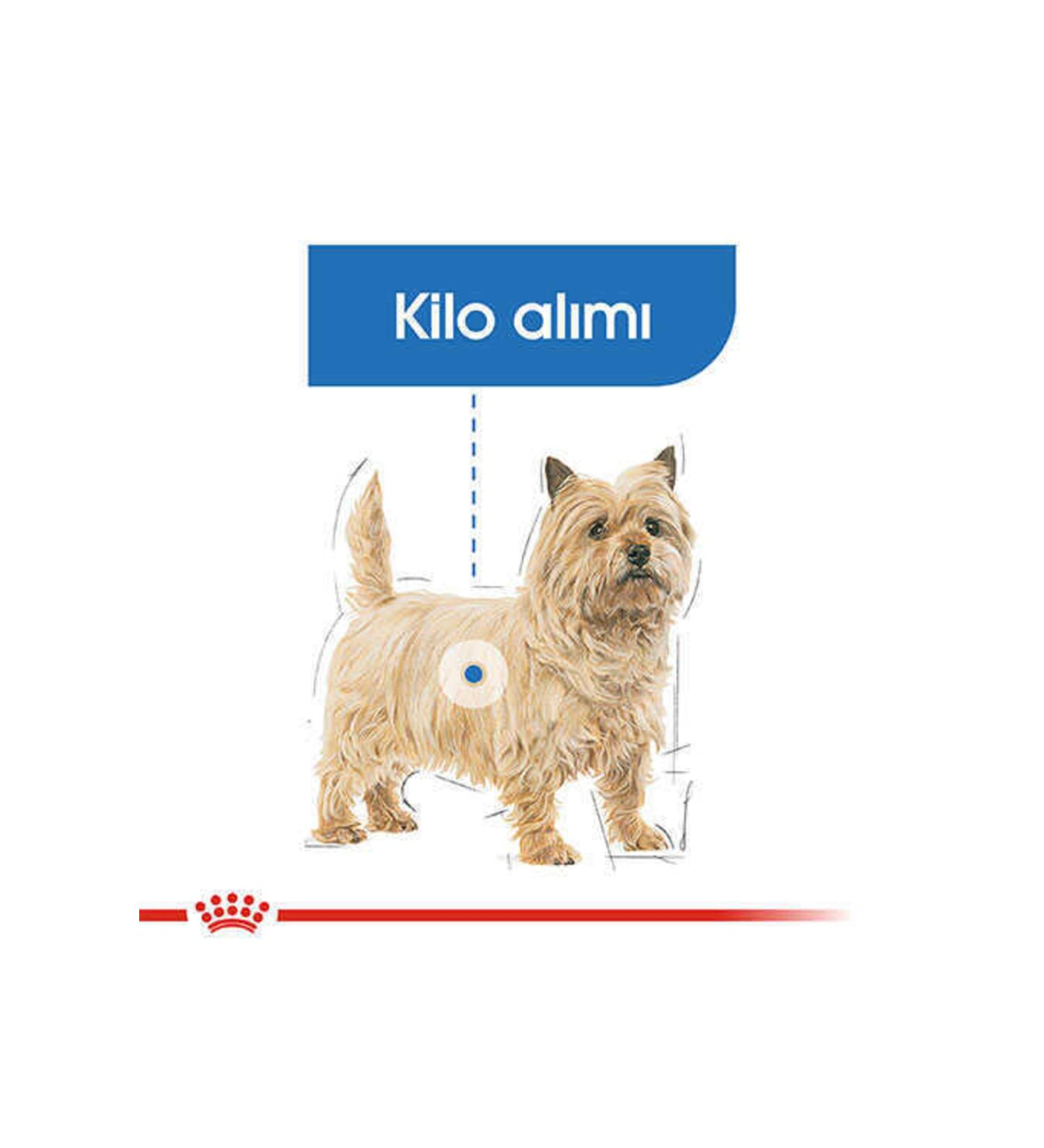 Royal Canin Mini Light Care Diet Adult Dog Food 3 Kg - Buy Online on GoSupps.com