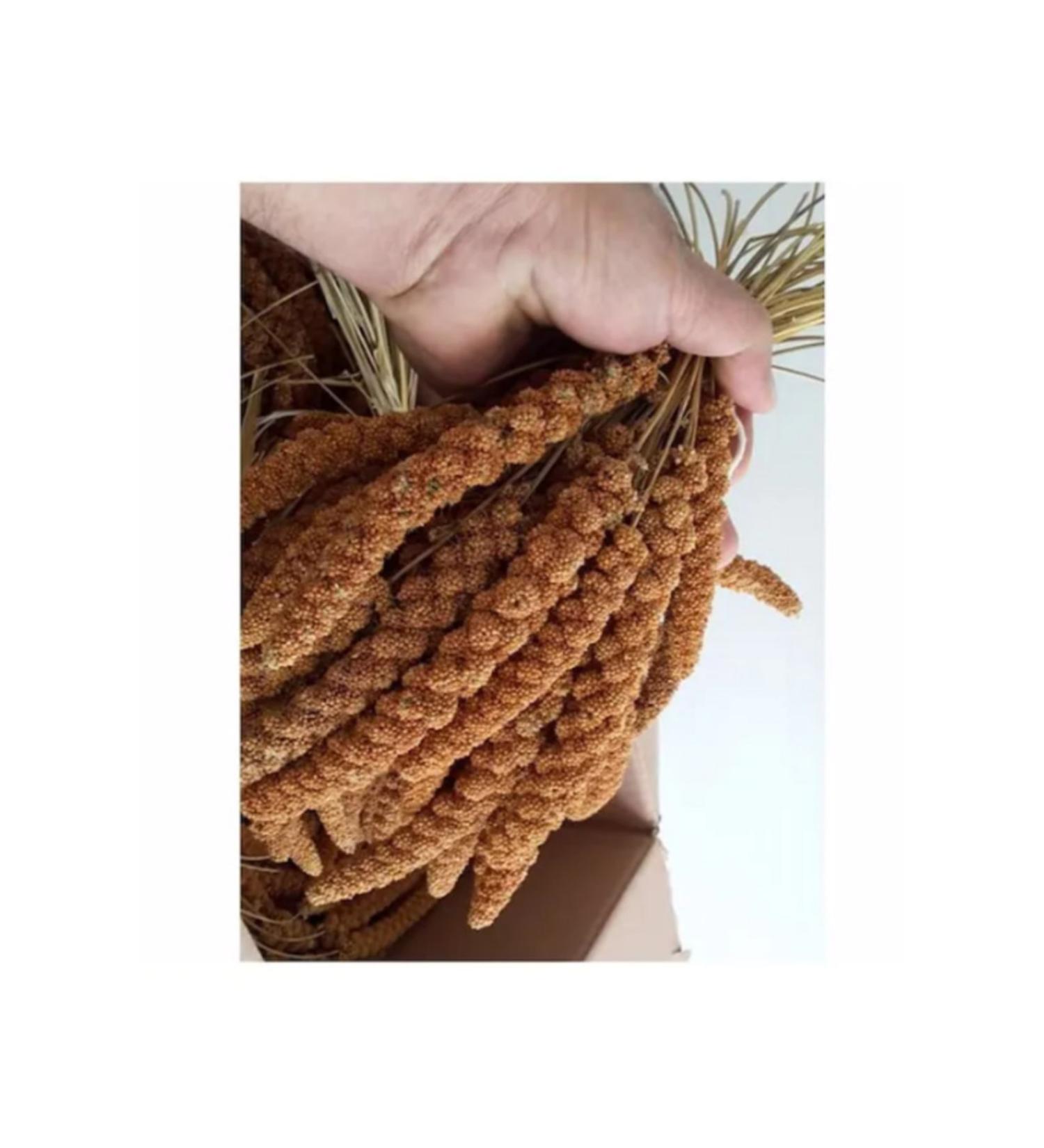 Getreide Red Millet 1 Kg