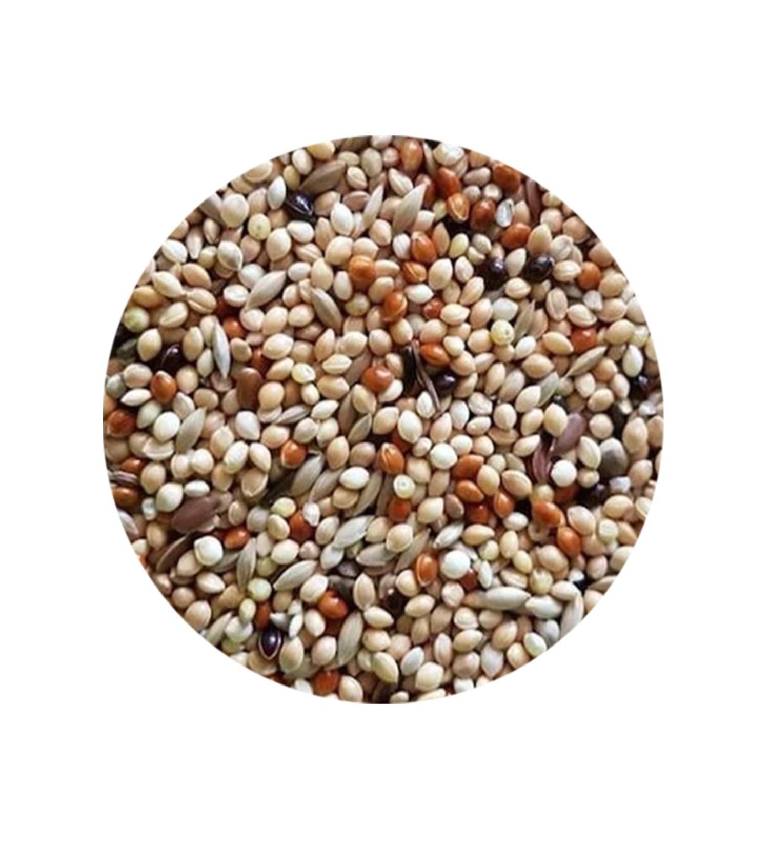 FLUFFY BIRD WORLD Budgie Luxury Food 2 Kg (SPECIAL VACUUM PACKAGING)