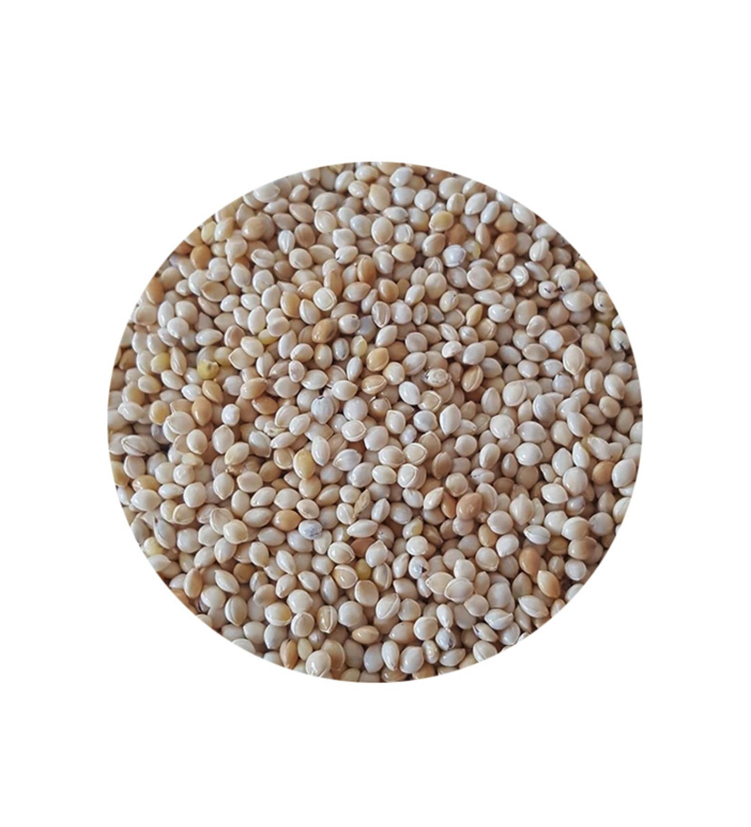 FLUFFY BIRD WORLD Plain Millet Bird Food 10 Kg (SPECIAL VACUUM PACKAGING) (1 KG X 10 PACKS)
