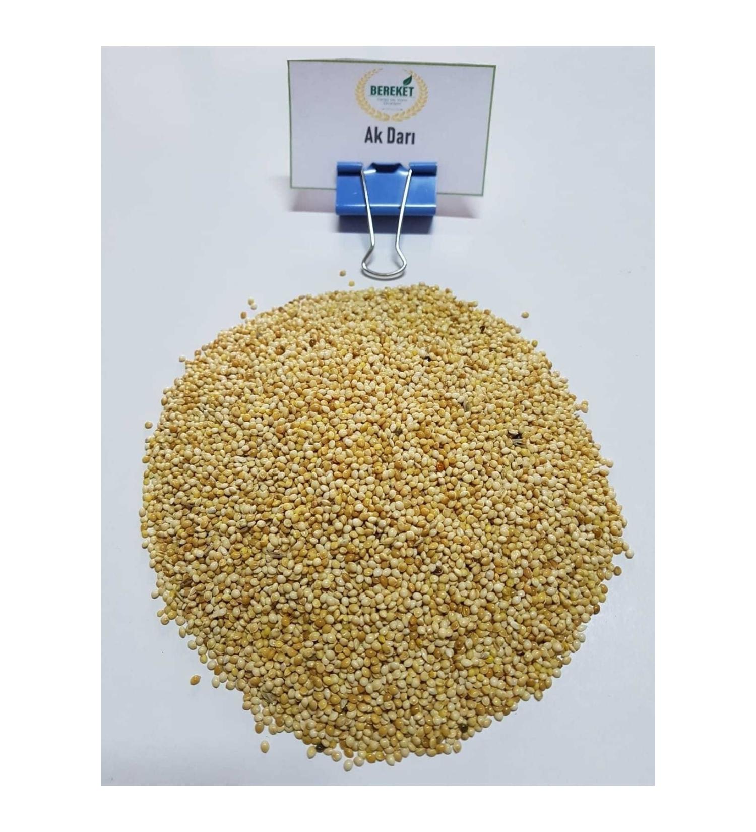 Bereketlimama White Millet - Budgie Food - 10 Kilograms