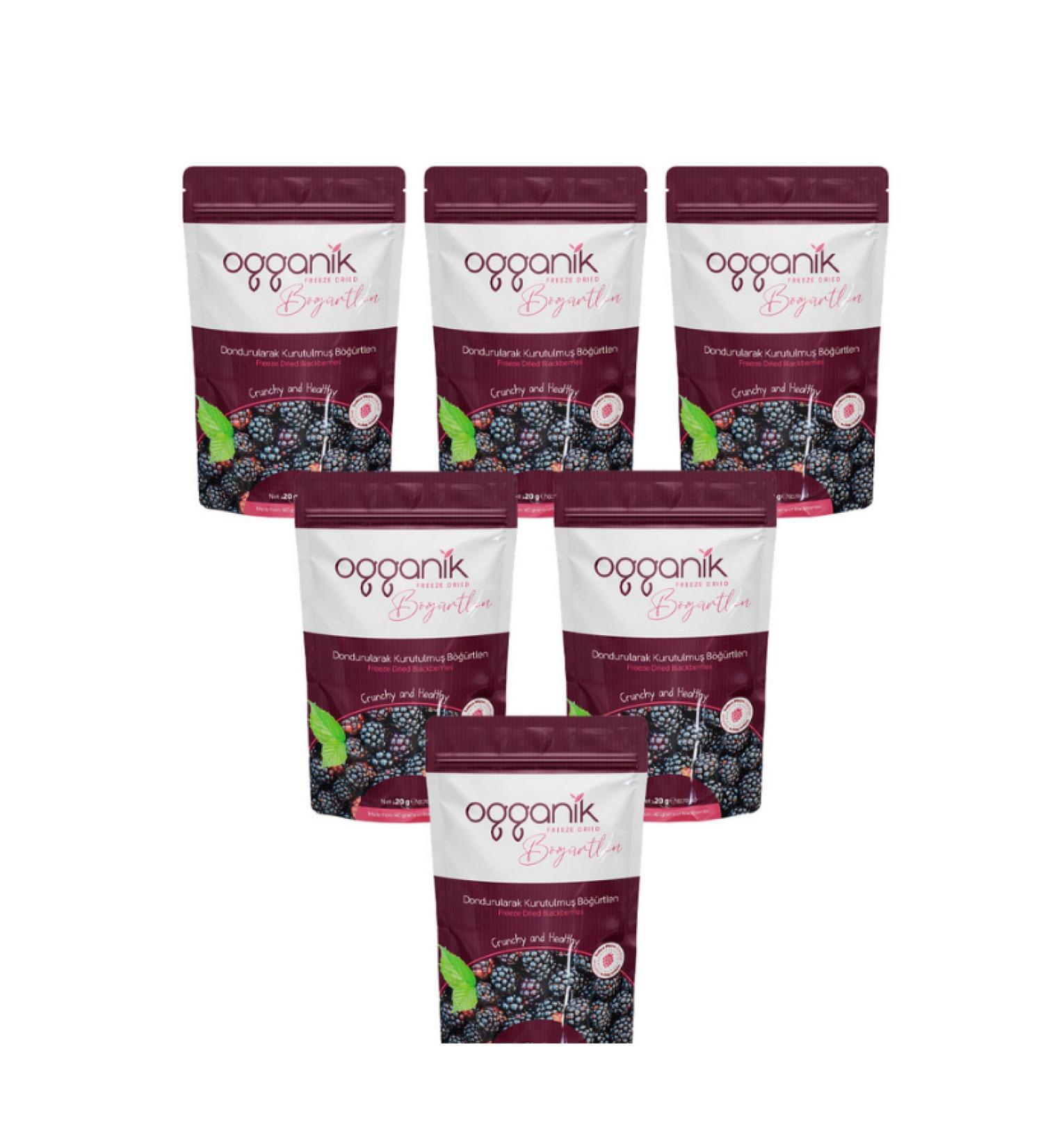ogganik 6 Pack Freeze Dried Blackberry Chips - Freeze Dried Blackberry 6x20gr