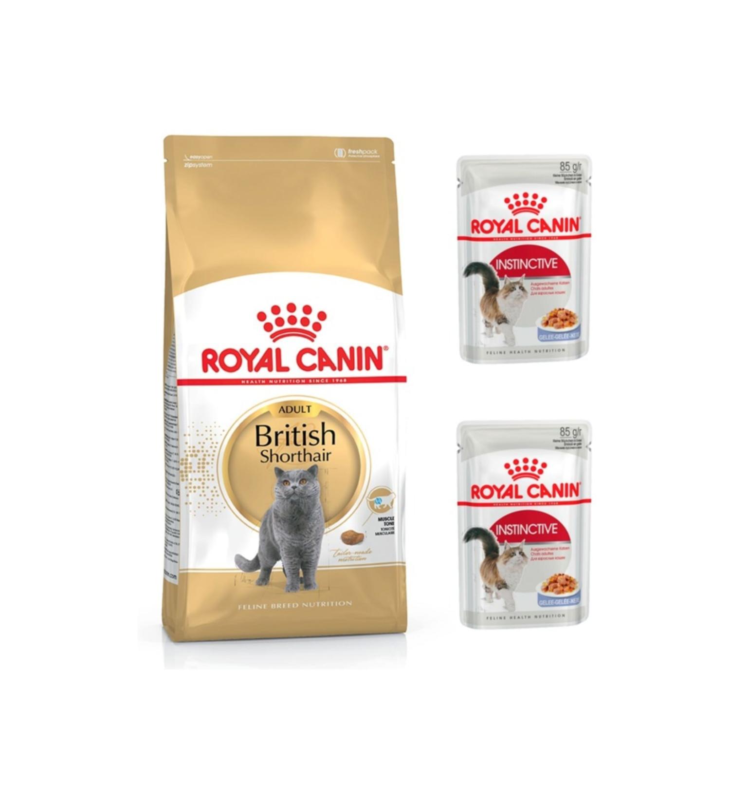 Royal Canin Adult British Shorthair Cat Food 2 Kg + Instinctive Gel Wet Cat Food 2 Pieces