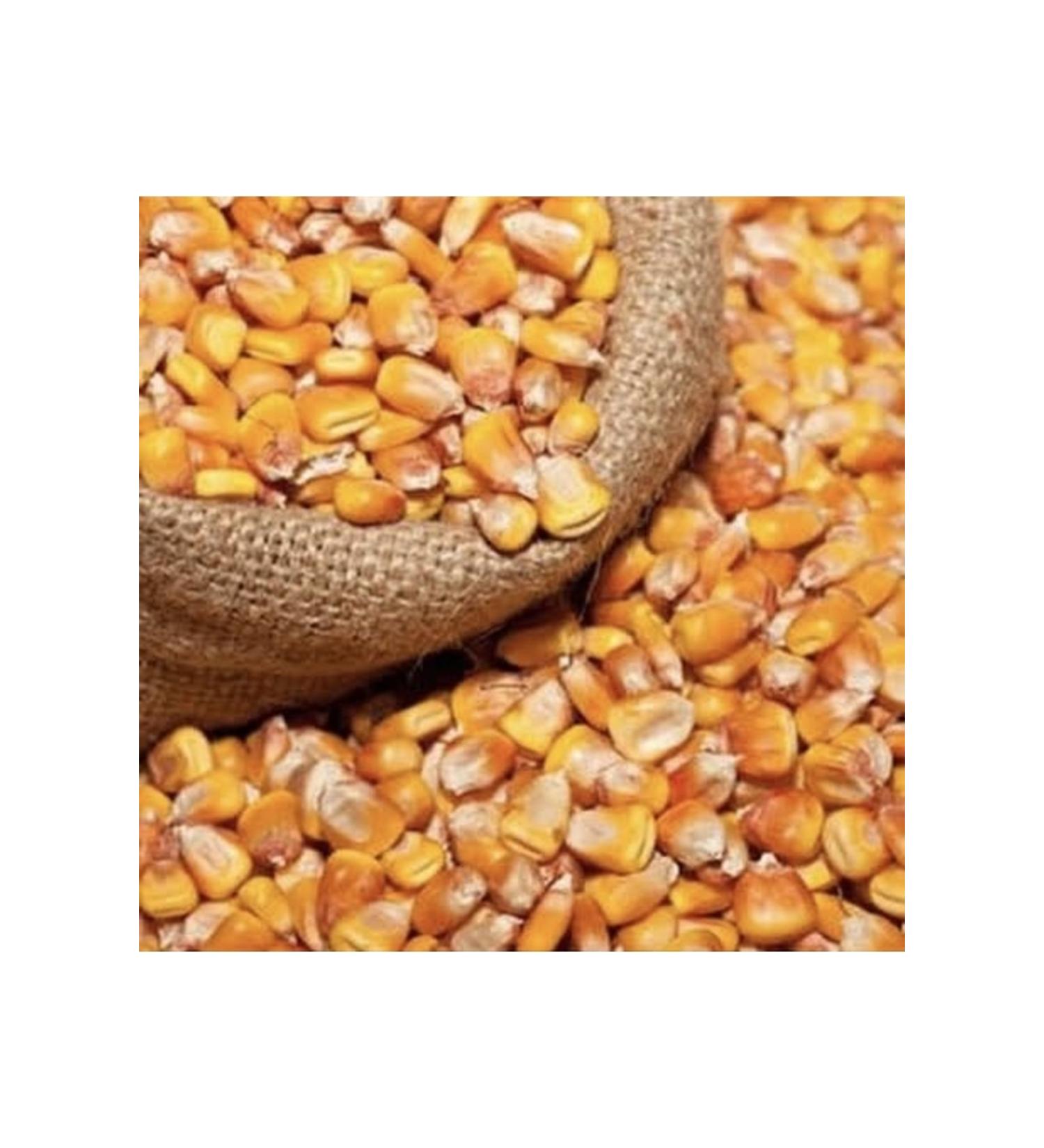 Balcanc o lu Corn Whole Grain 10 kg