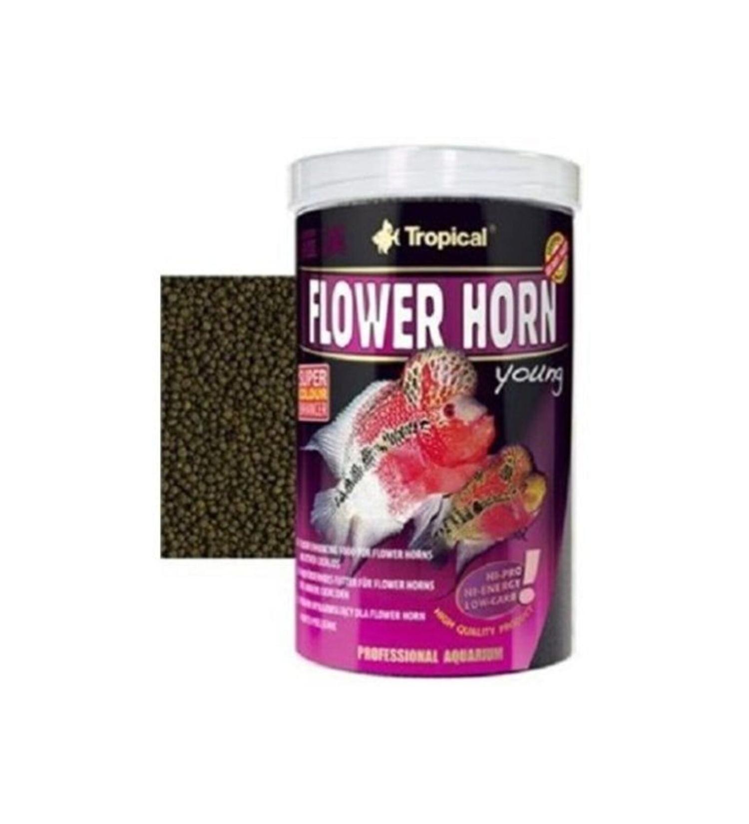Tropical Flower Horn Young 500 GR