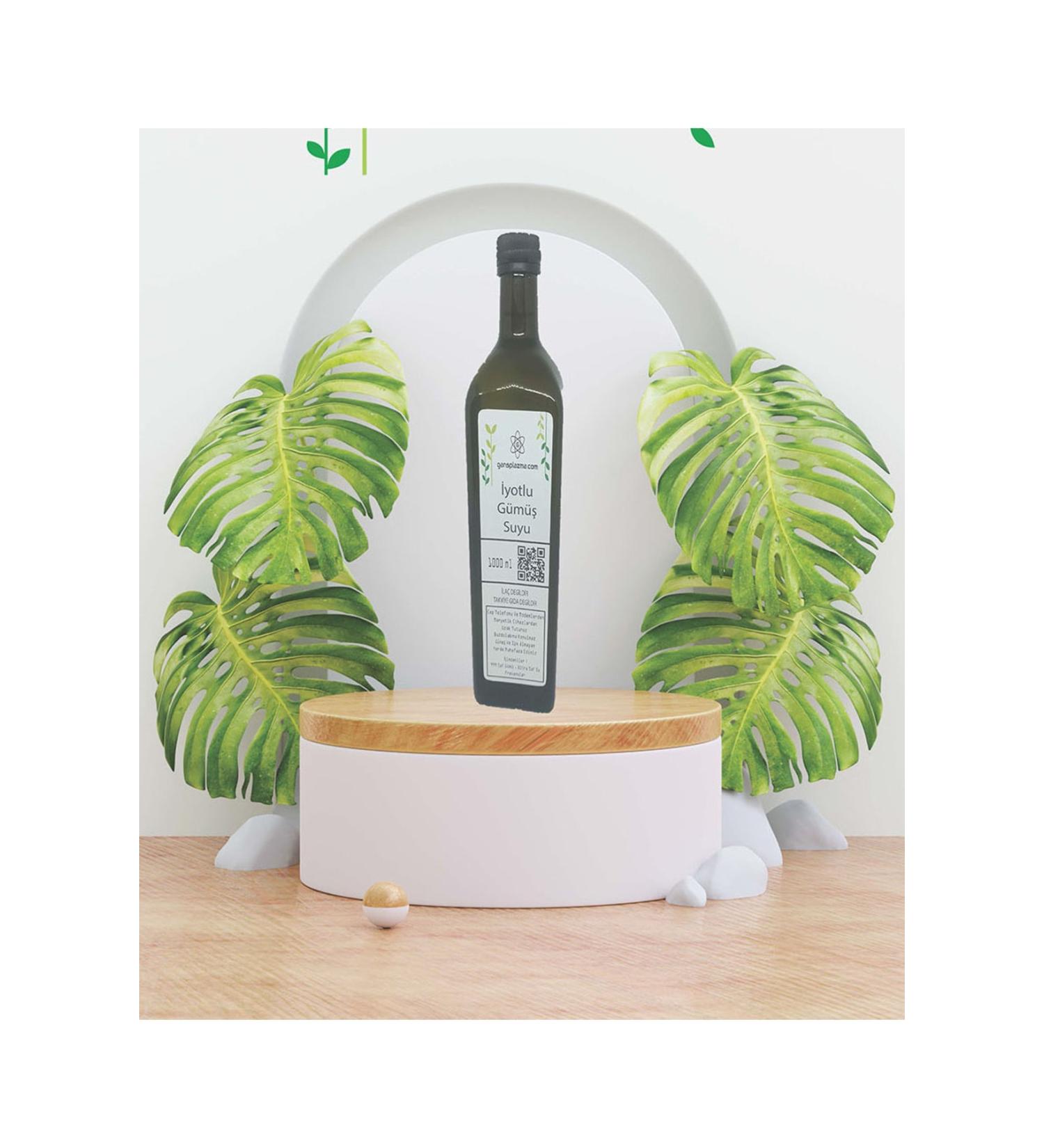 gansplasma Iodized Silver Water 1 lt