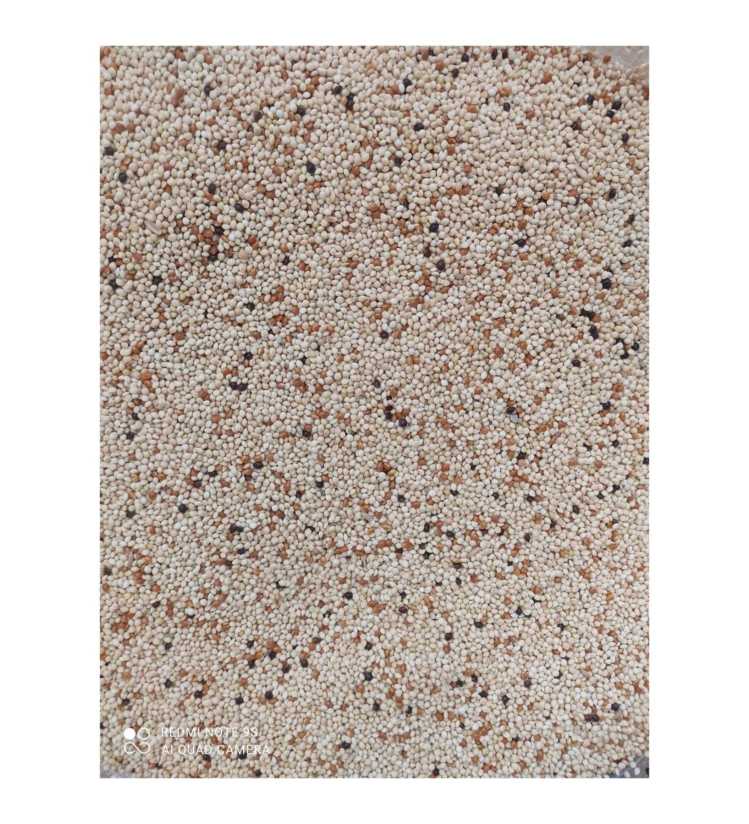 mezbi BUDGET FOOD SPECIAL MIX 5 KG.