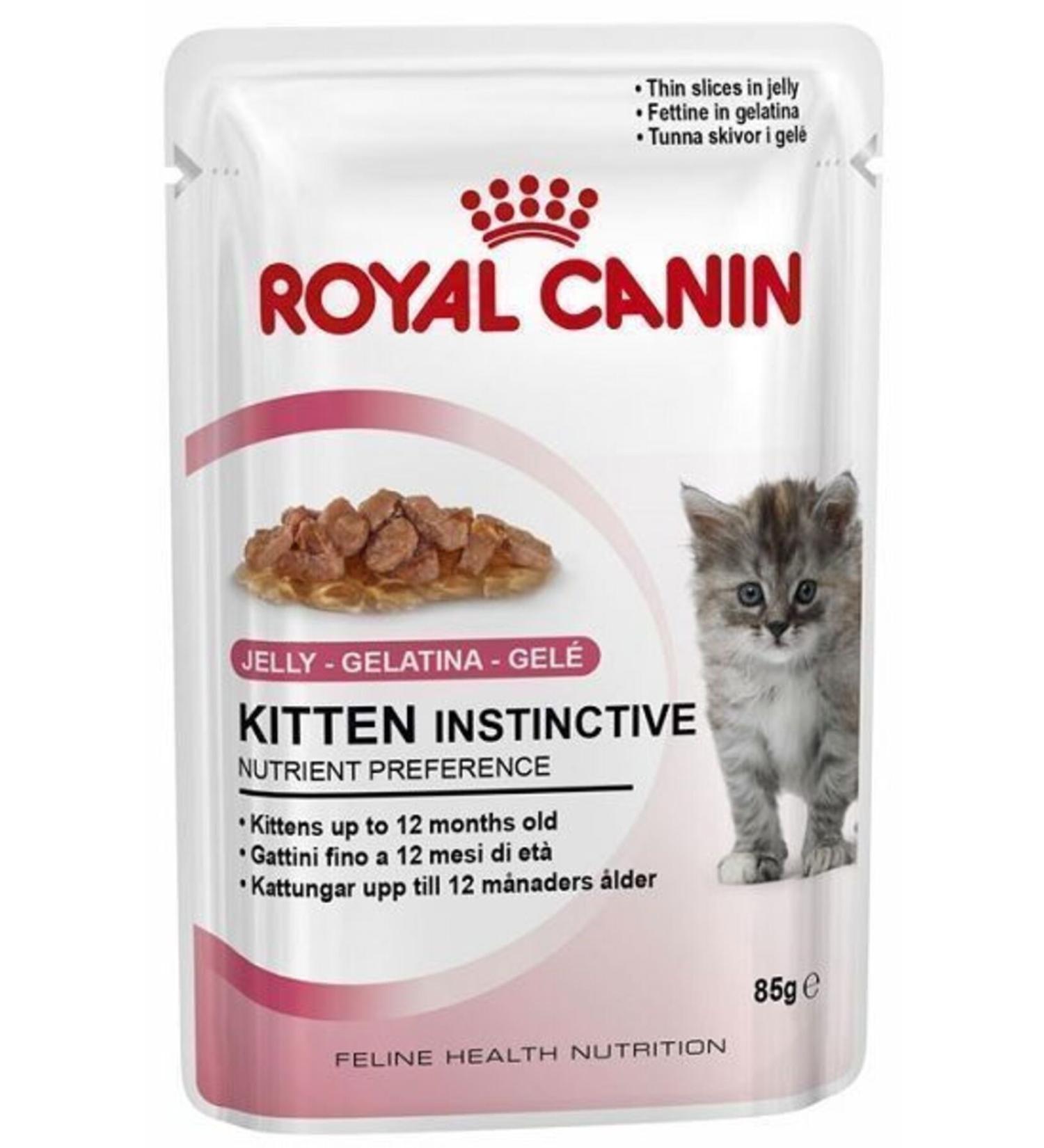 Royal Canin Kitten In Jelly Kitten Canned Food 85 Gr x 6