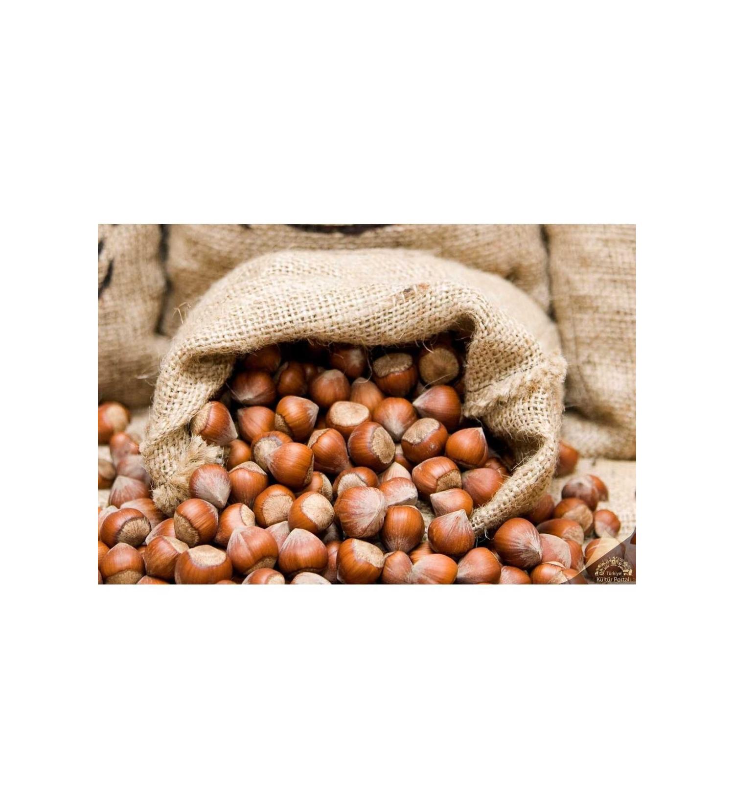 Yigit 1 KG SHELLED HAZELNUTS