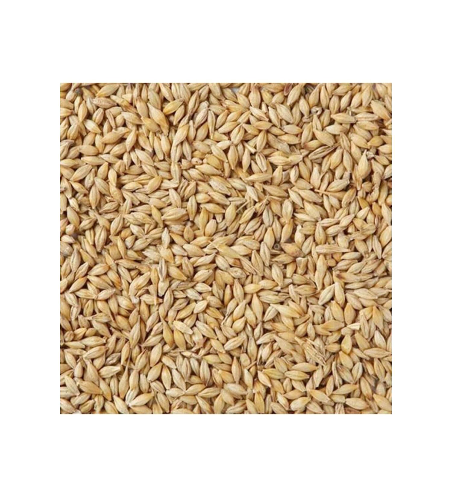 HAPPY Barley (FOdder) 10kg in Special Laminated Bag