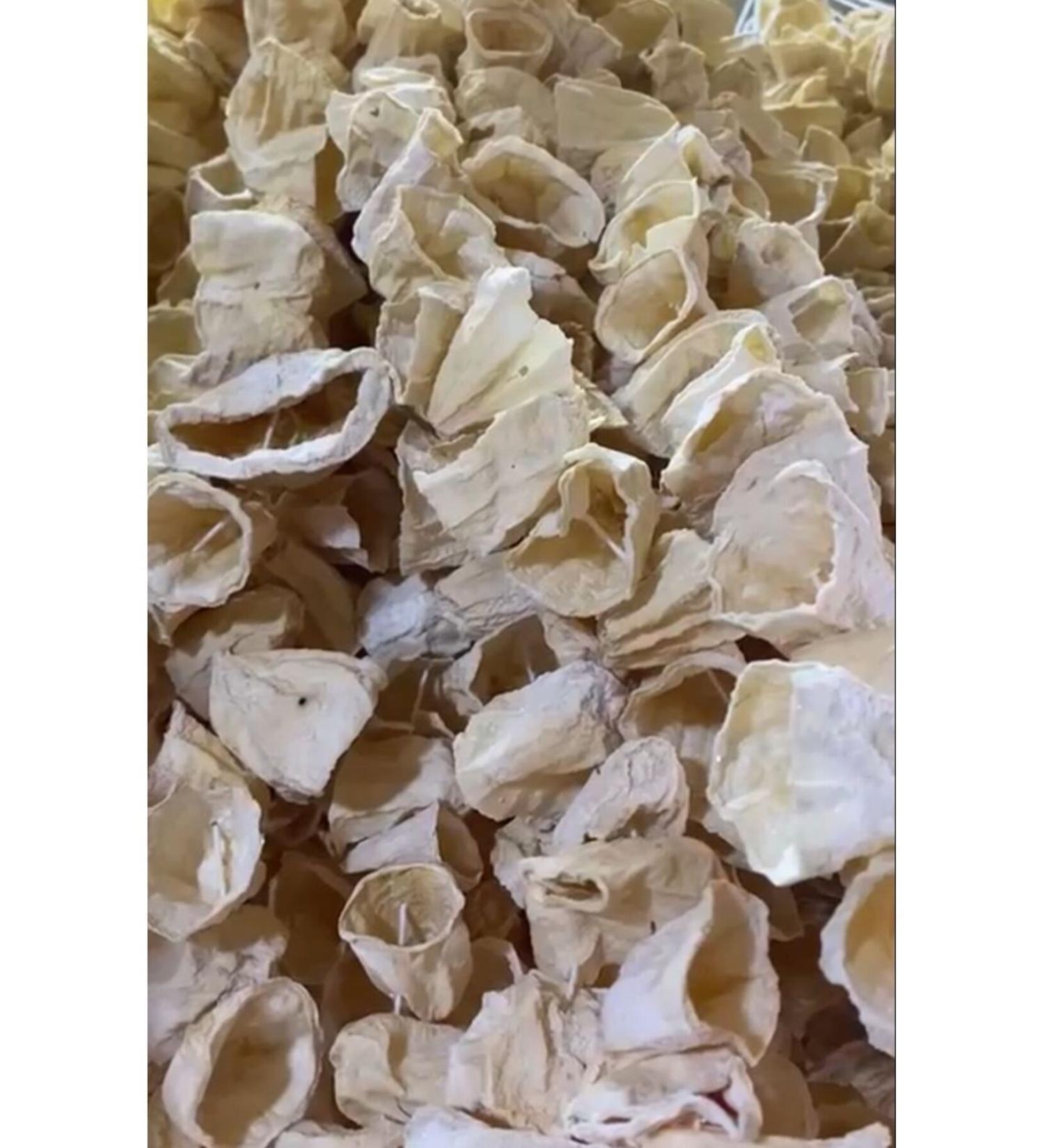 MY DRIED PUMPKIN 1 BUNCH 50 PIECES