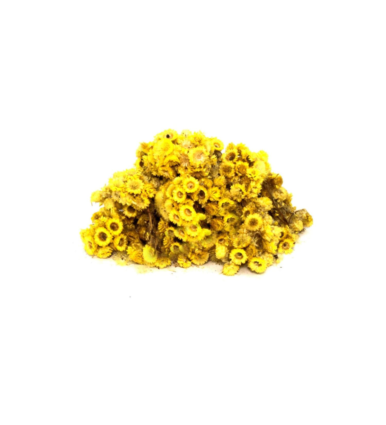 Aktarzane Goldenrod (Goldenrod Yellow Flower Immortelle) 500 gr.
