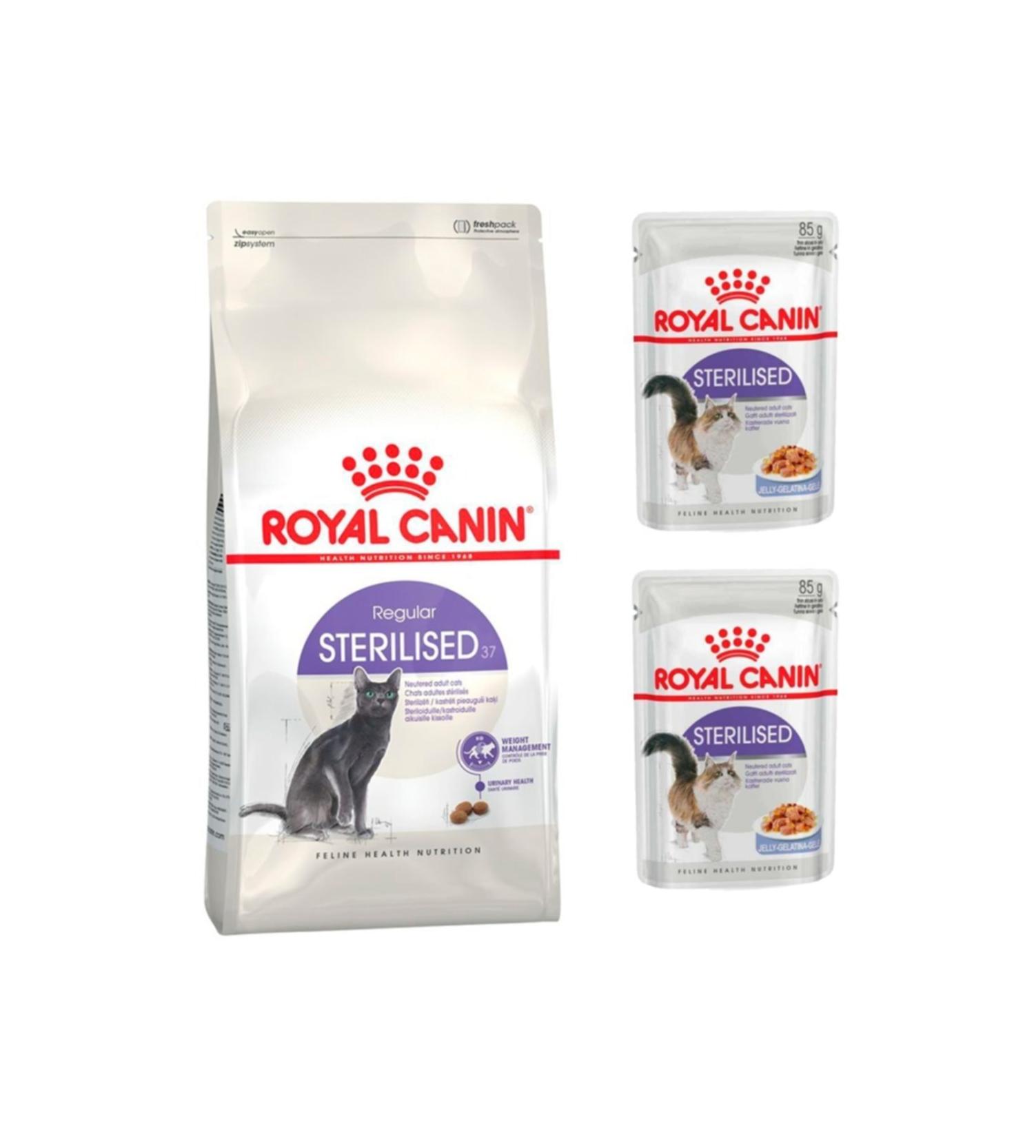 Royal Canin Adult Sterilised 37 Cat Food 2 kg + Sterilised Wet Food 2 Pieces (original)