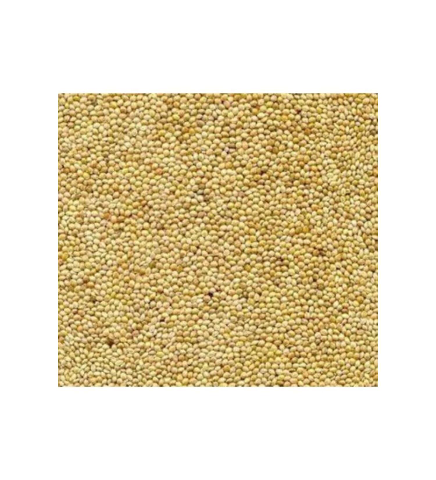 Budgie Food White Millet 5kg