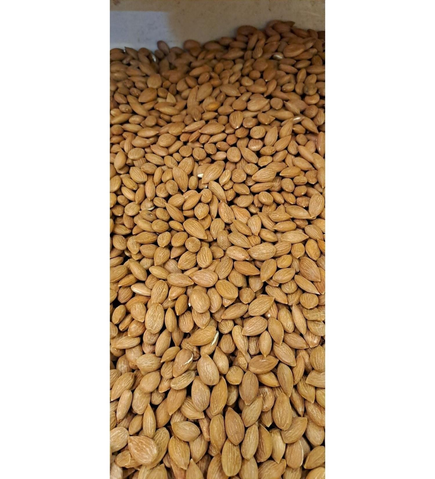 Nur Apricot Kernel 1kg