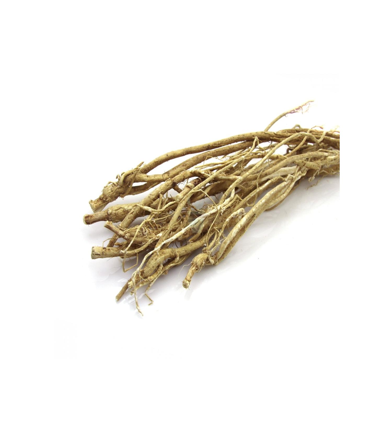 Naturdan Chinese Astragalus 100 gr Astragalus