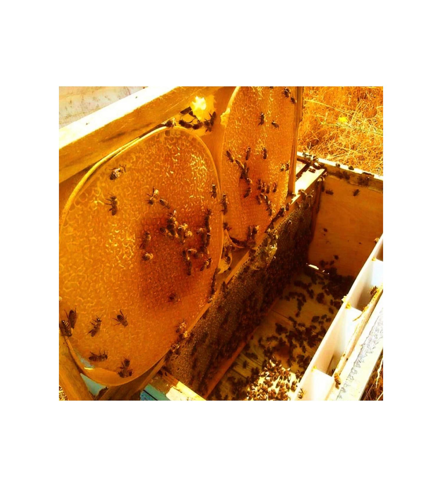 Hizan Karakovan Natural Hizan Pulley Honey (1kg)