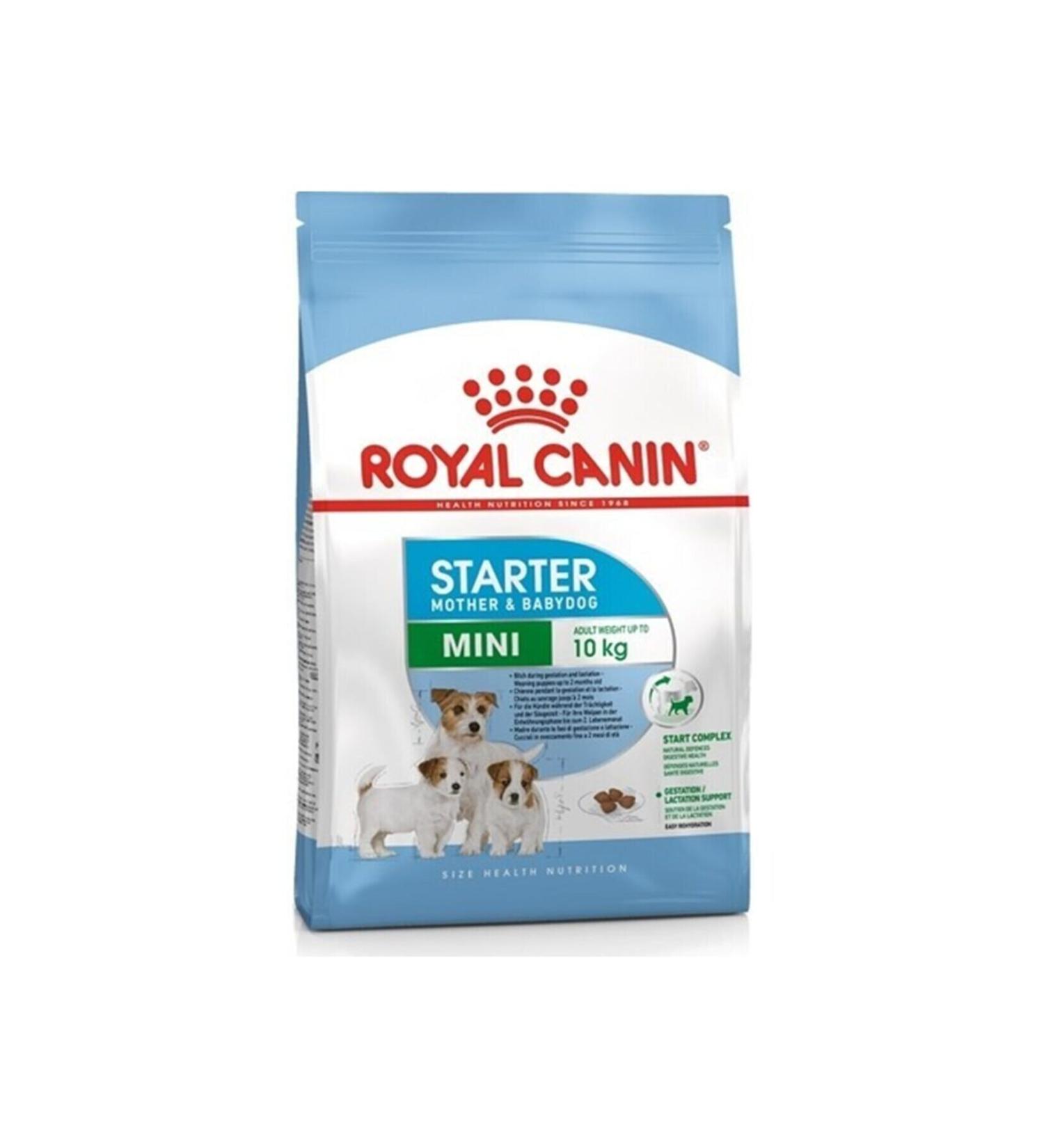 Royal Canin Mini Starter Small Breed Mother and Puppy Dog Food 4 Kg